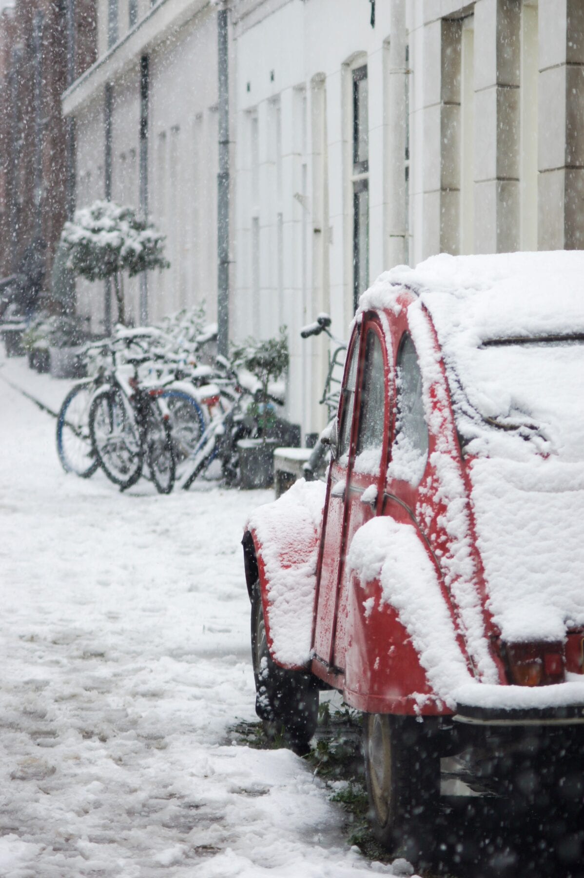 Lelijk eendje in de sneeuw