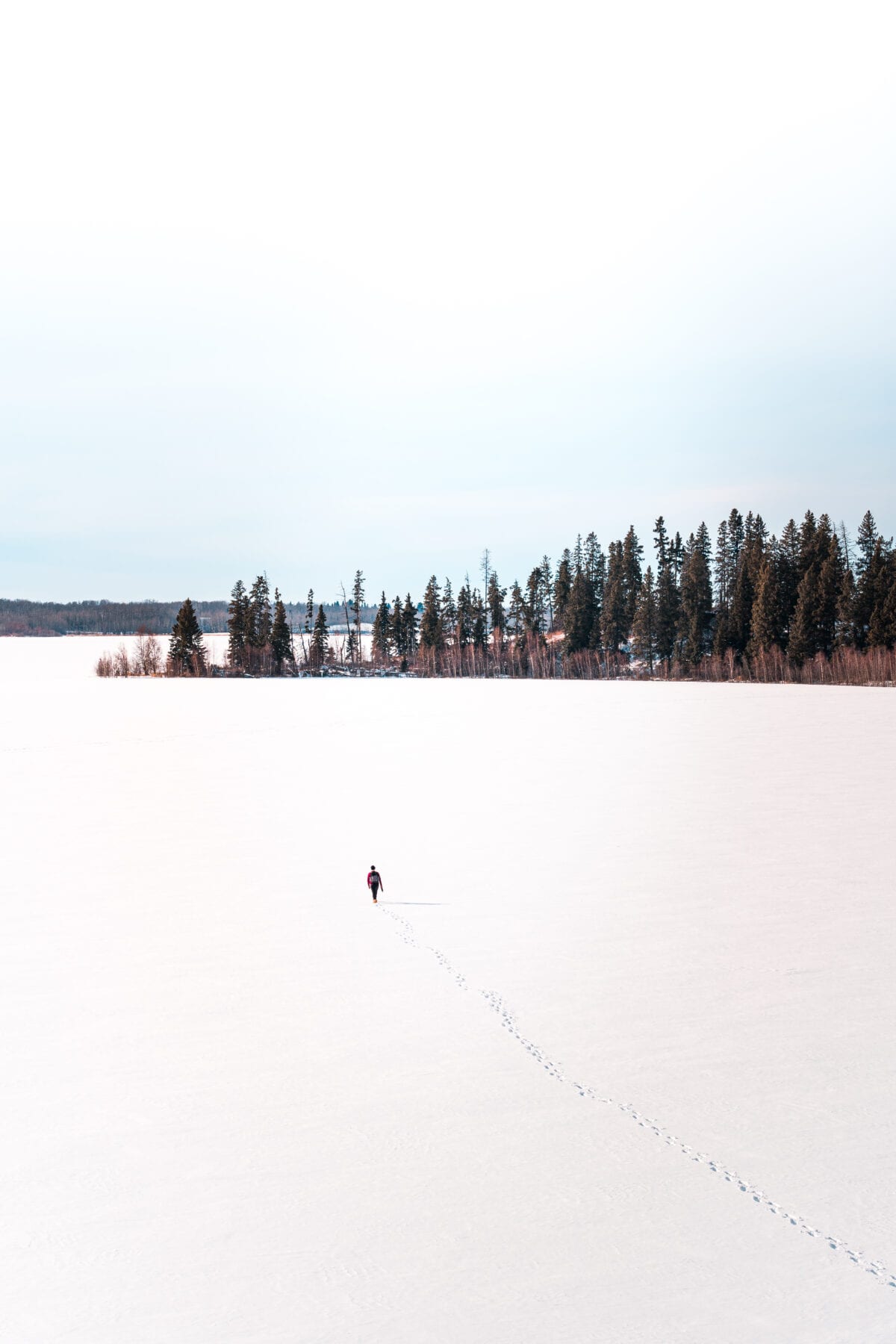Wintersport in Canada Edmonton Jasper Elk Island