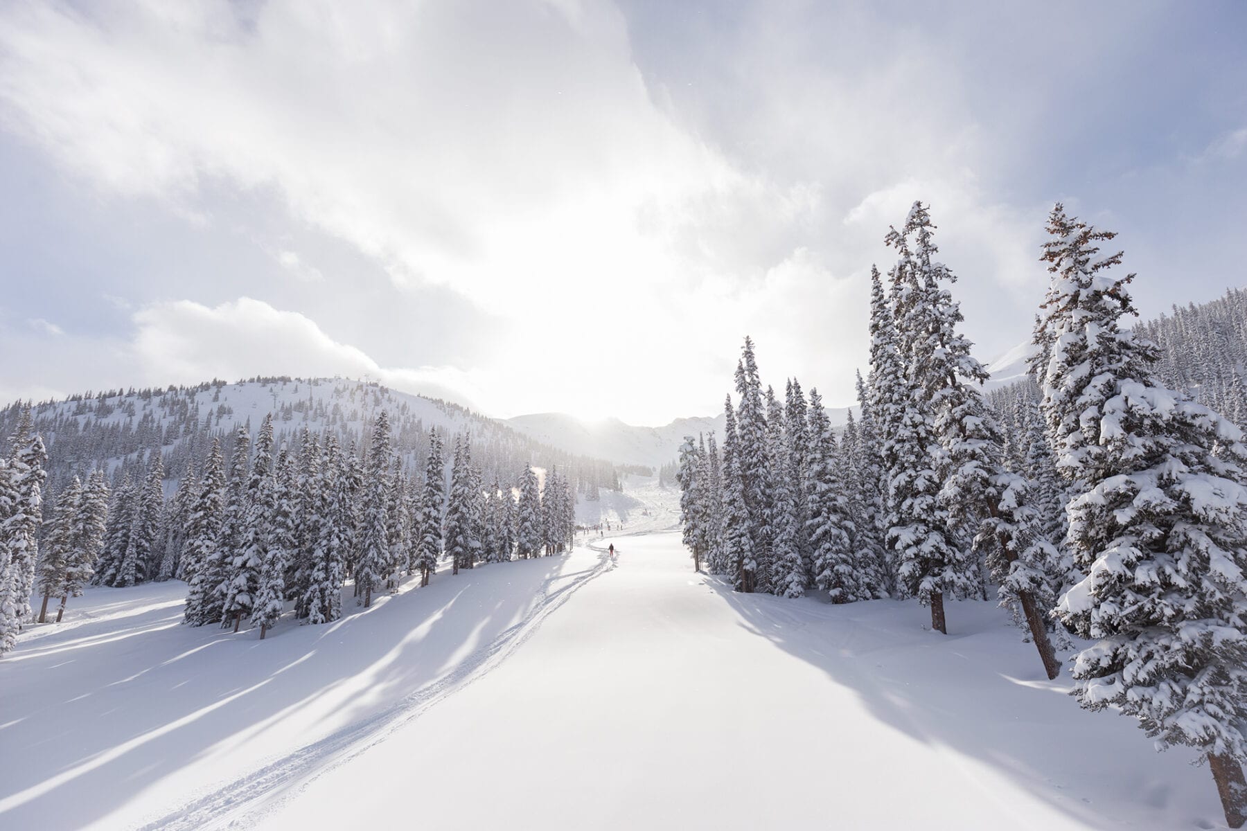 Wintersport in Canada Edmonton Jasper strakke pistes