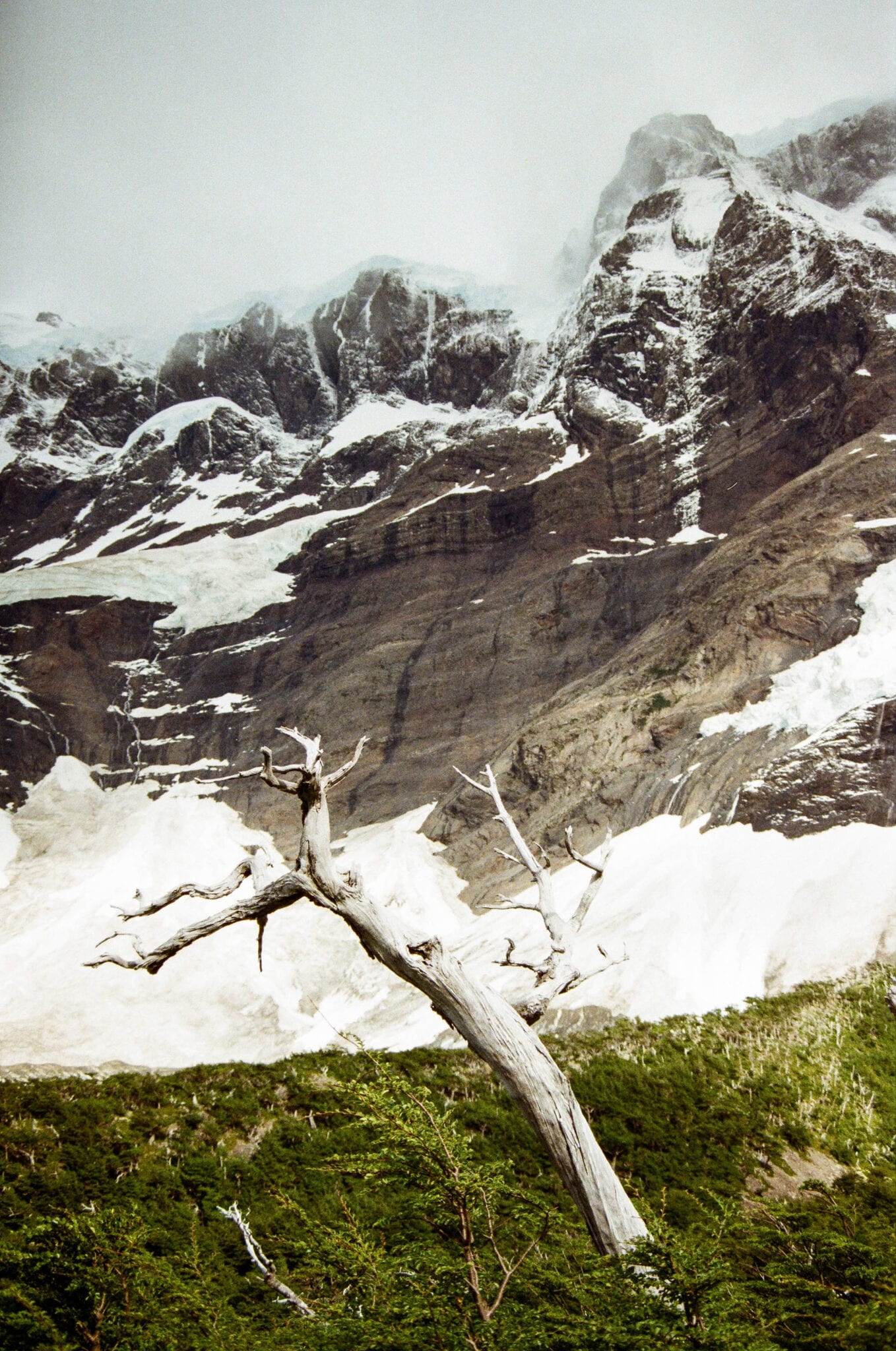 W trek-Torres del Paine-Patagonie