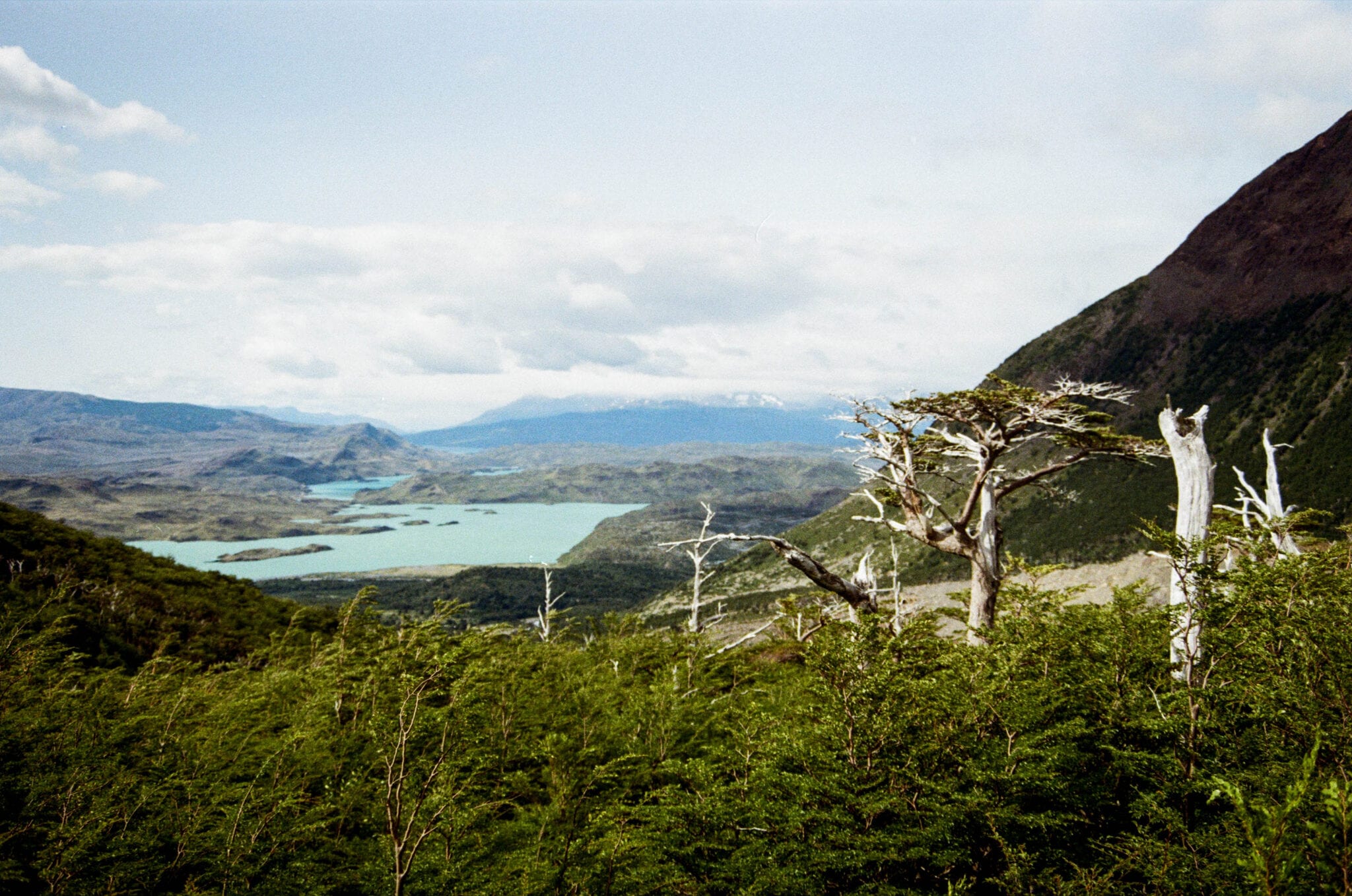 W trek-Torres del Paine-Patagonie