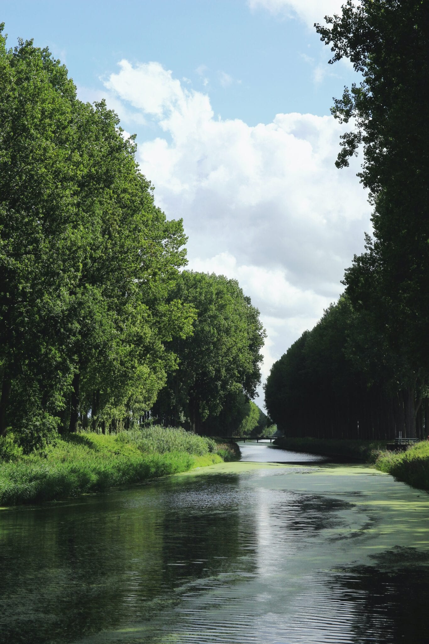 Het Maarten van Rossumpad Natuur