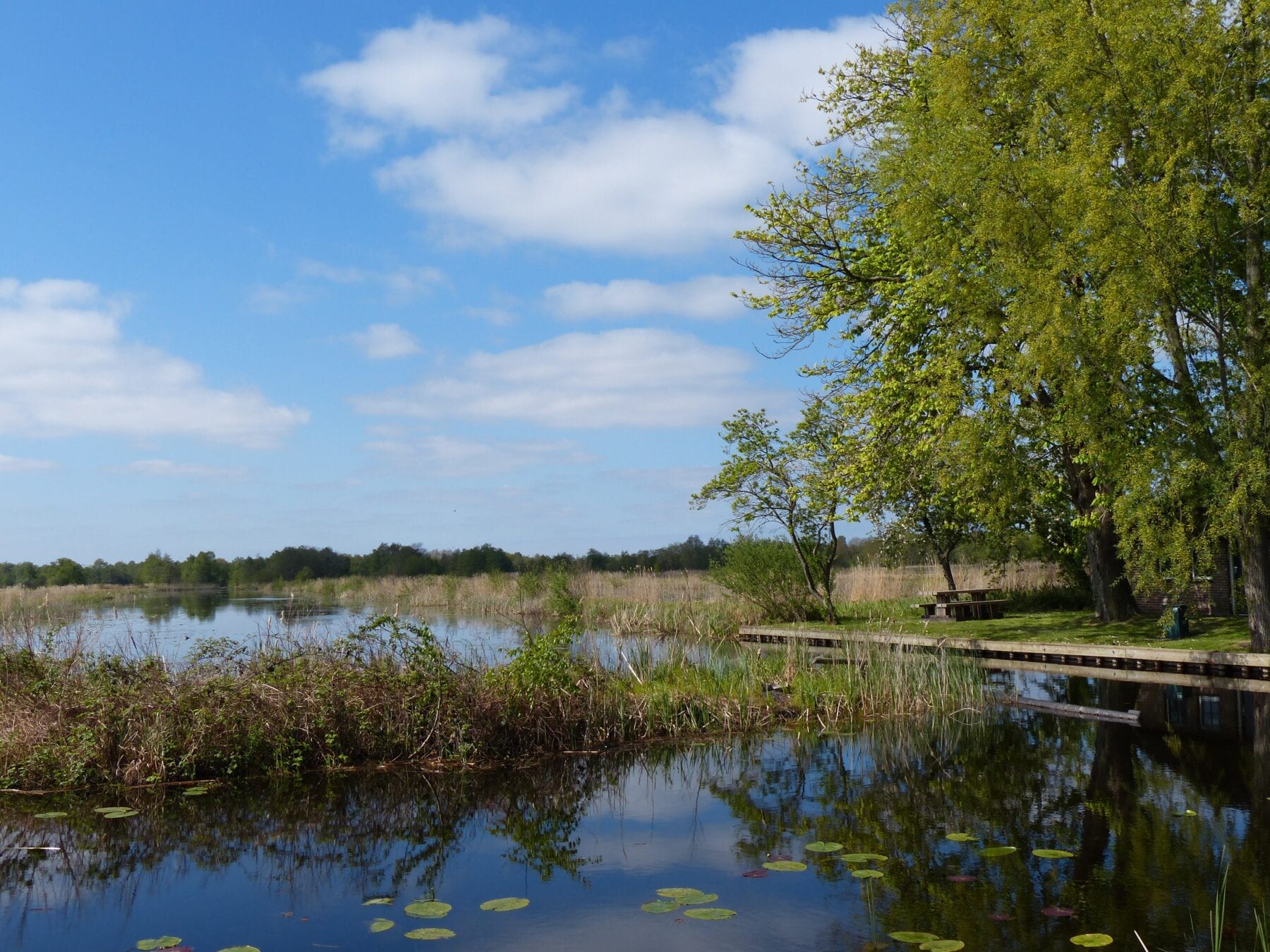 LAW Nederland Het Friese Woudenpad Weerribben