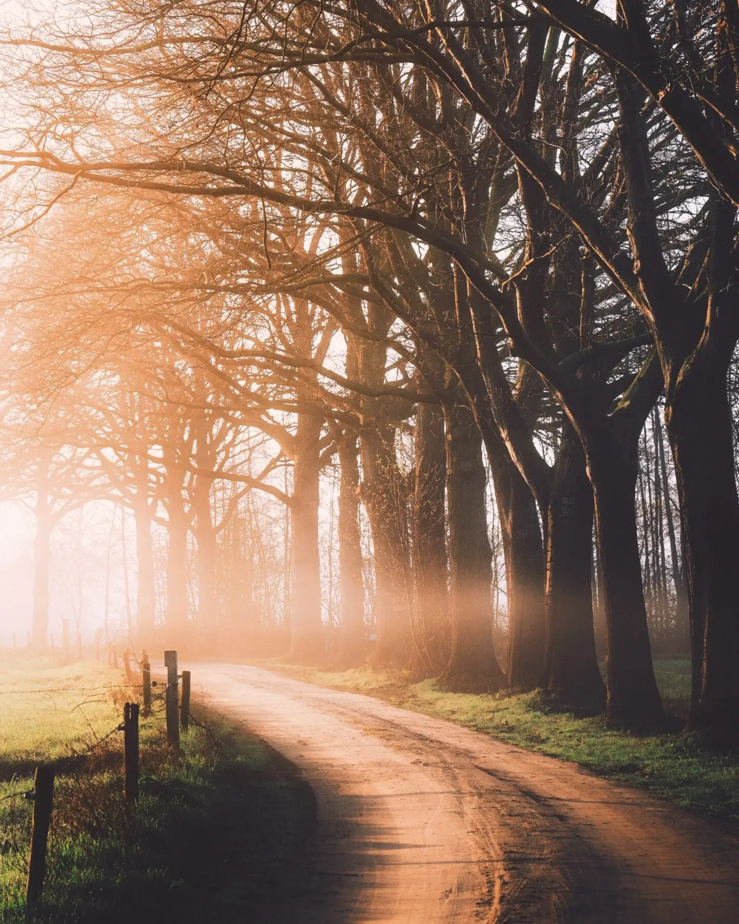 Zonsopkomst Nederland