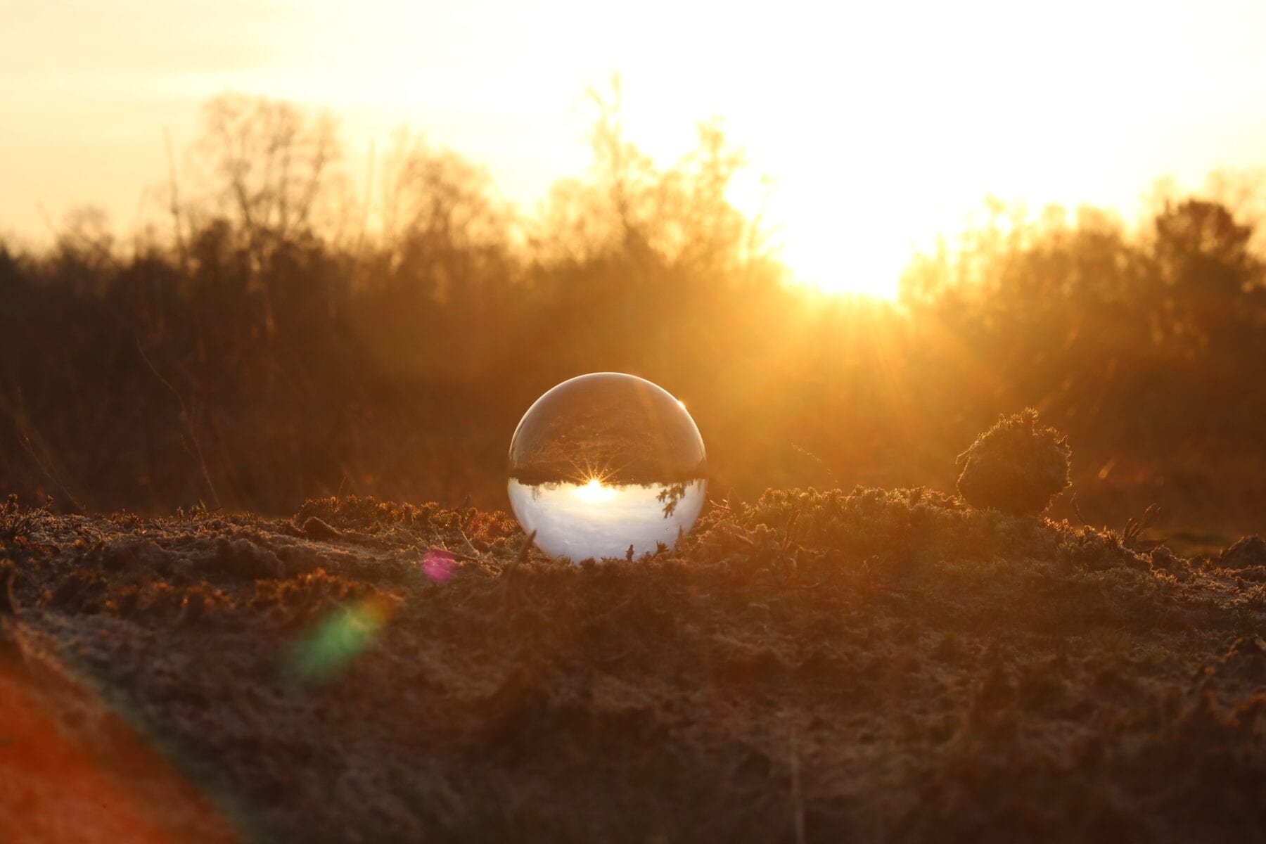 Zonsopkomst Lensbal