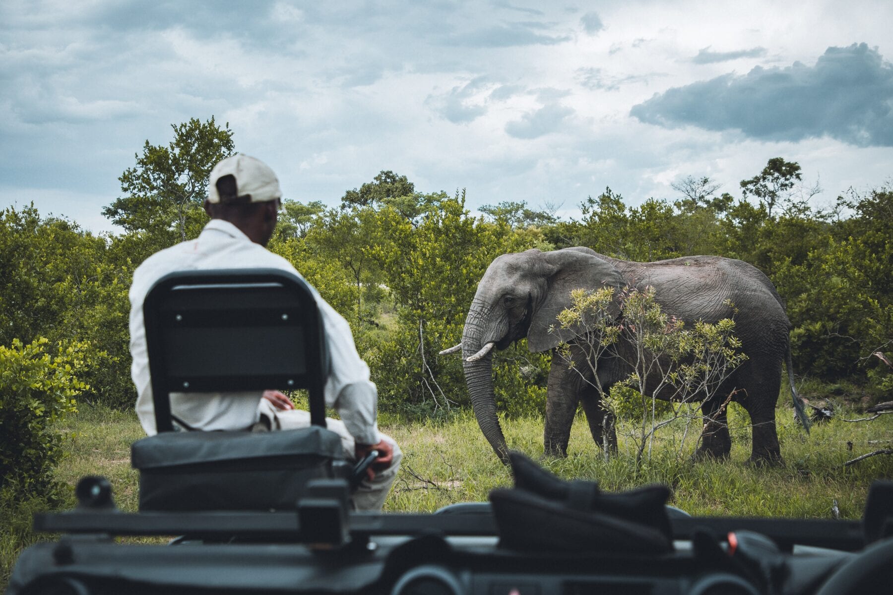 Zuid-Afrika Safari