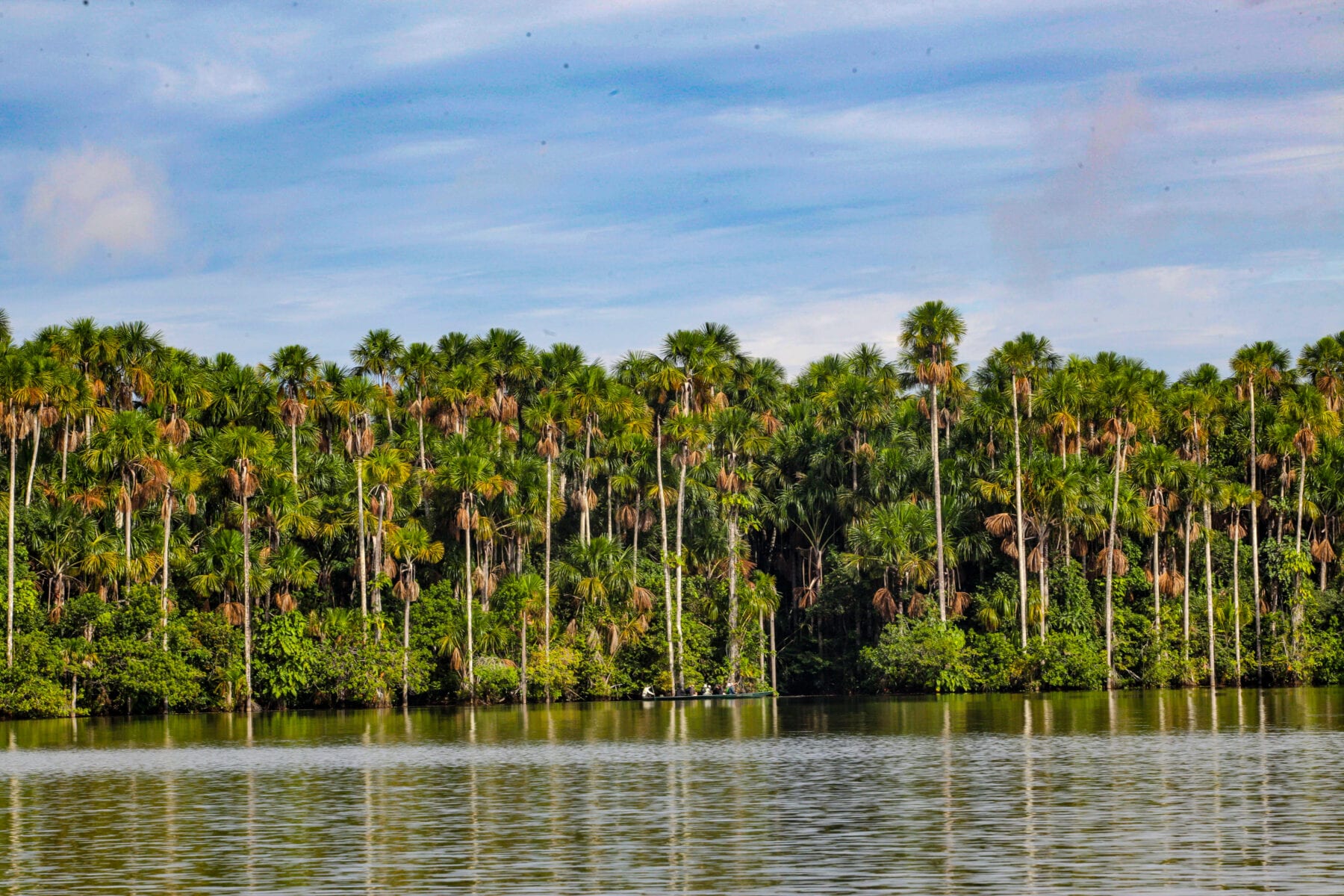 Amazone Peru Tambopata