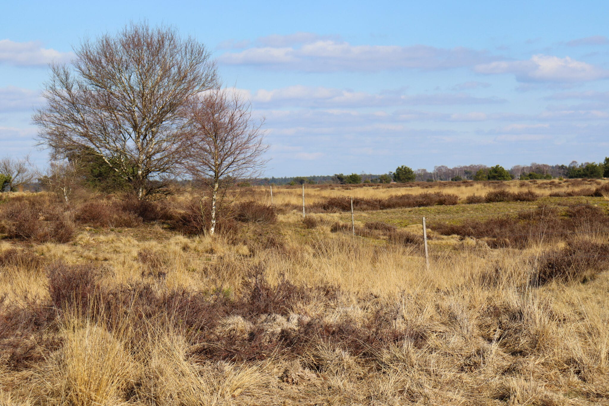 De Strabrechtse Heide