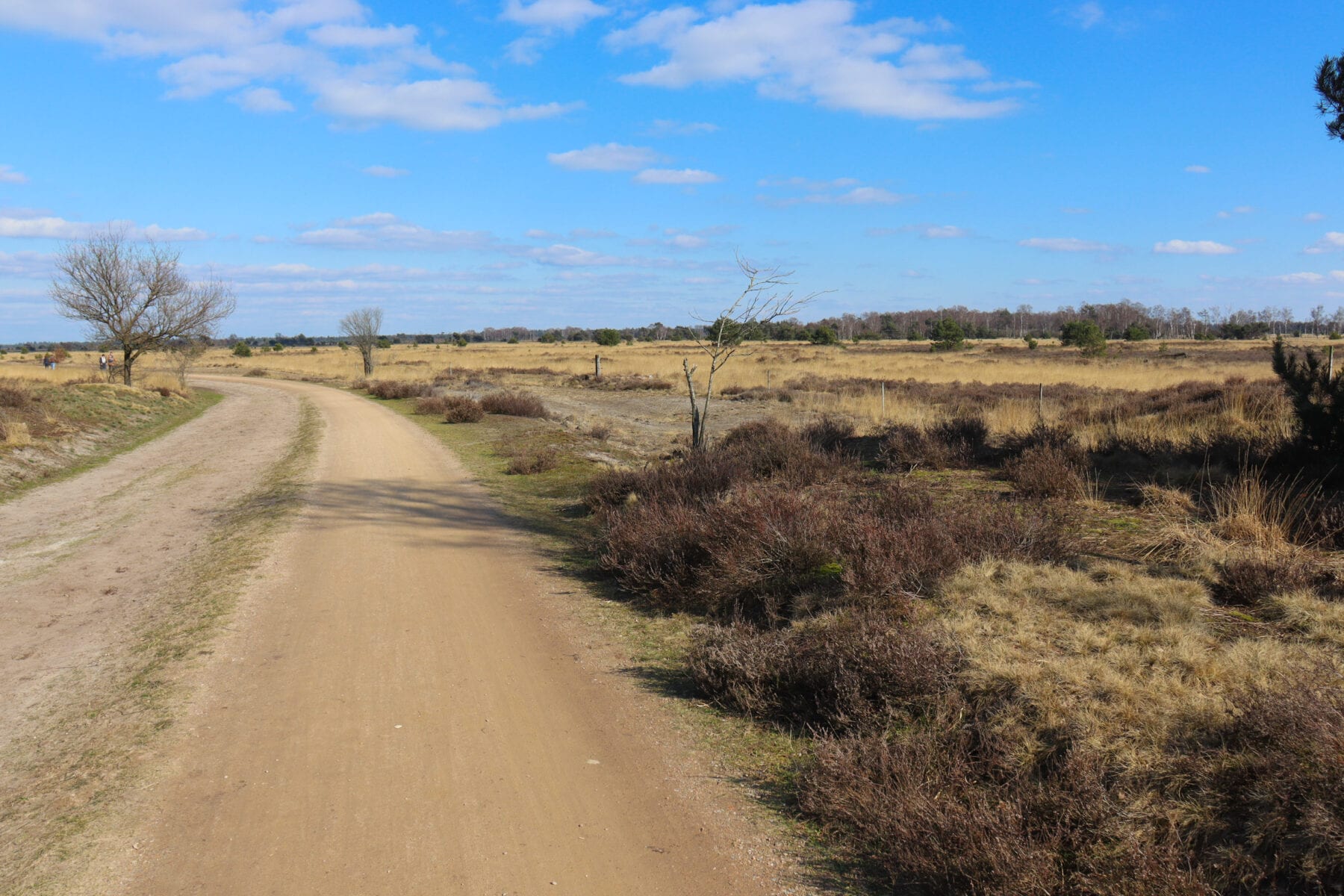 Strabrechtse Heide Omgeving