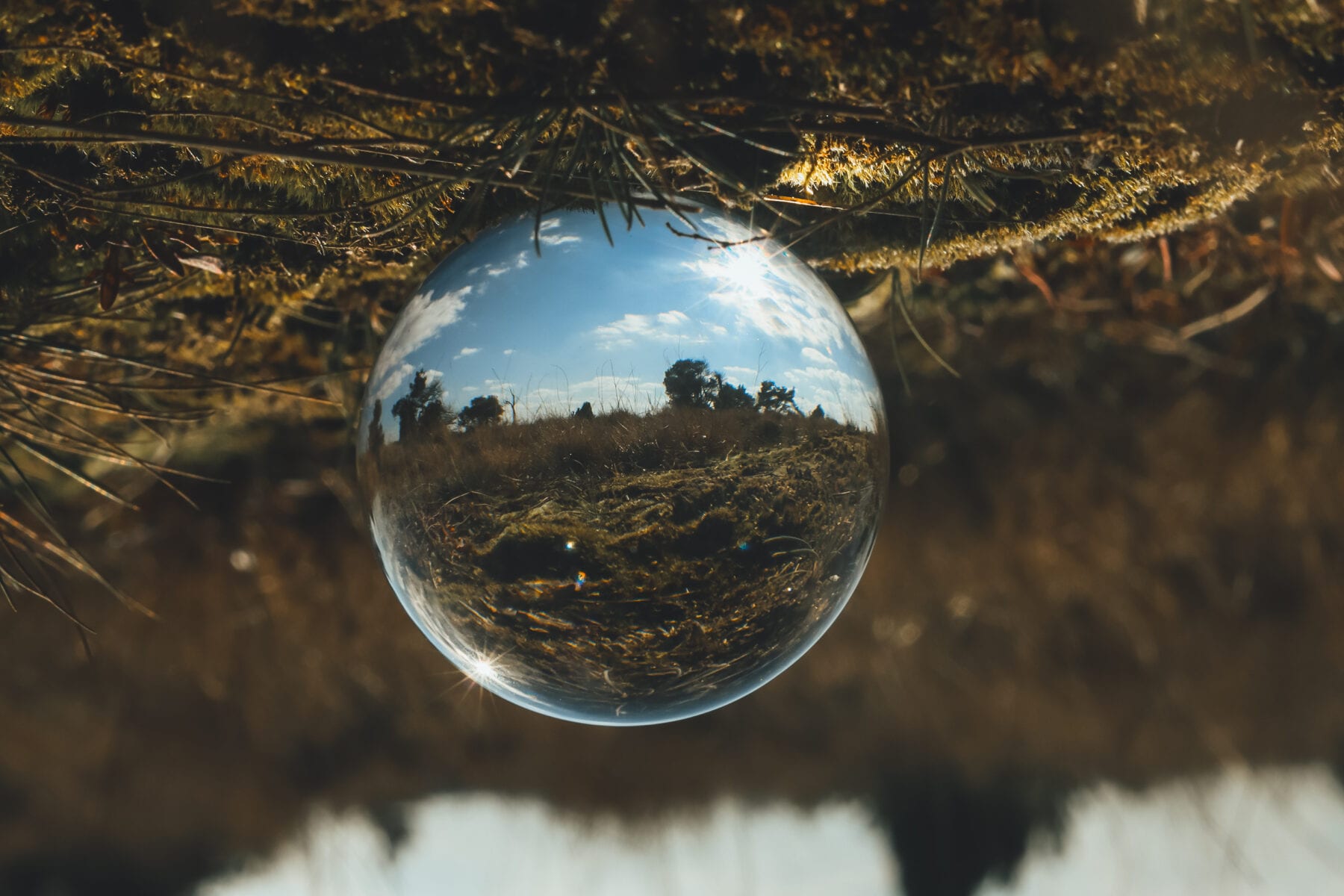 Strabrechtse Heide Lensbal