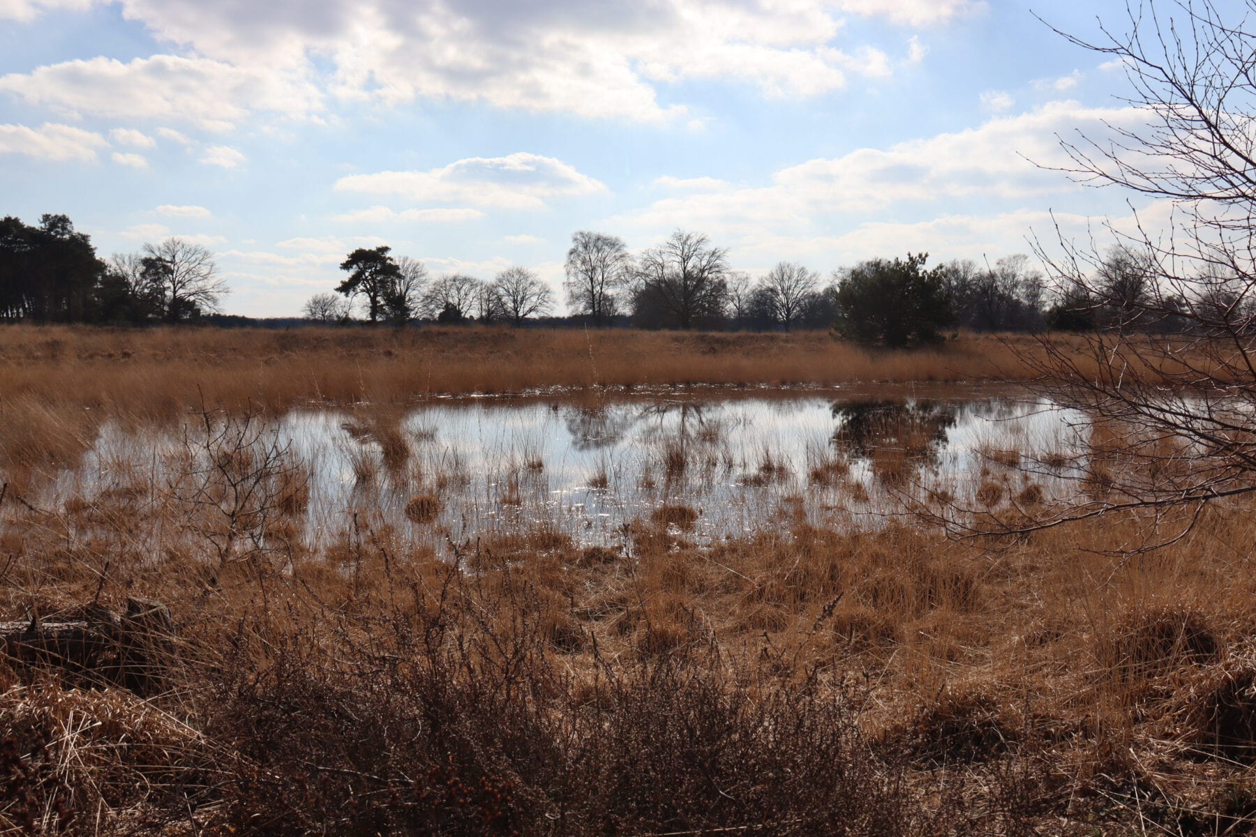 Omgeving water en bomen