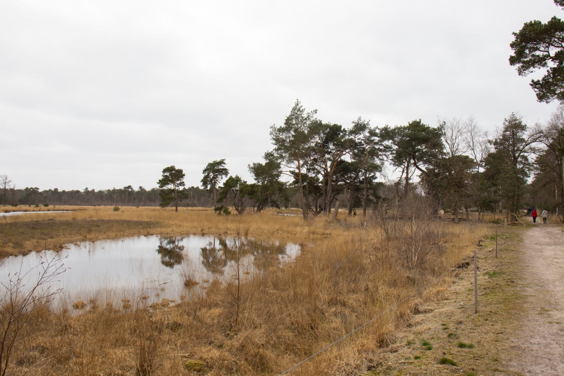 Vennetje