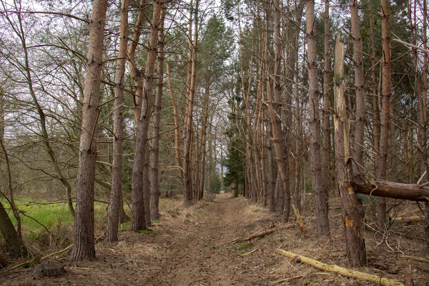 Landgoed Baest bos