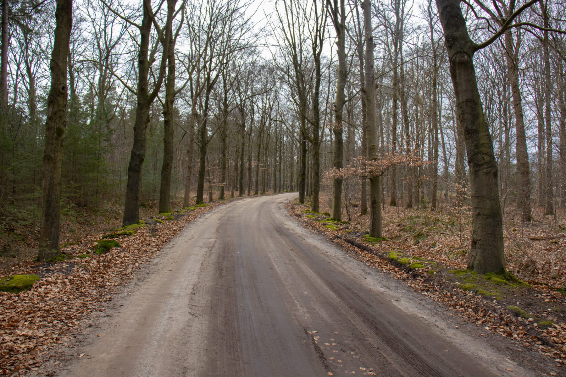 Landgoed Baest weg