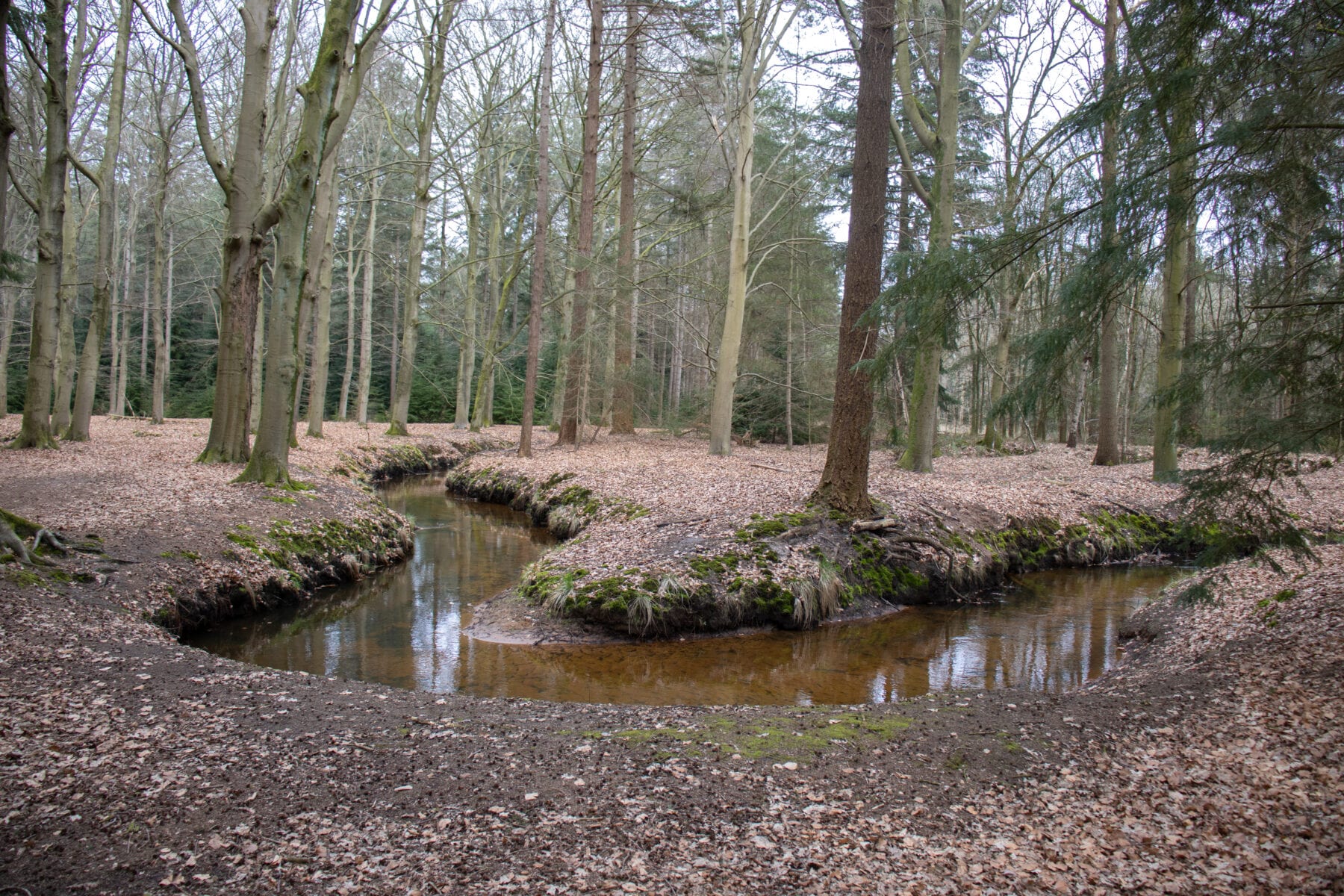 Landgoed Baest beekje