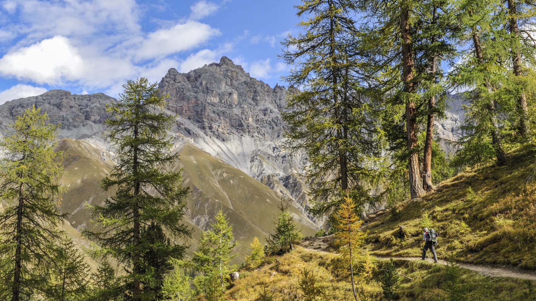 Zwitsers Nationaal Park - Graubünden Zwitserland