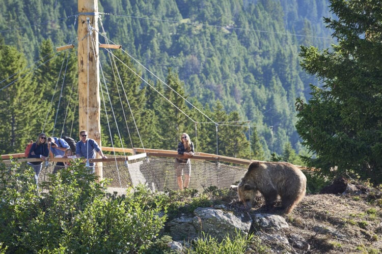 Arosa Bärenland - Graubünden Zwitserland