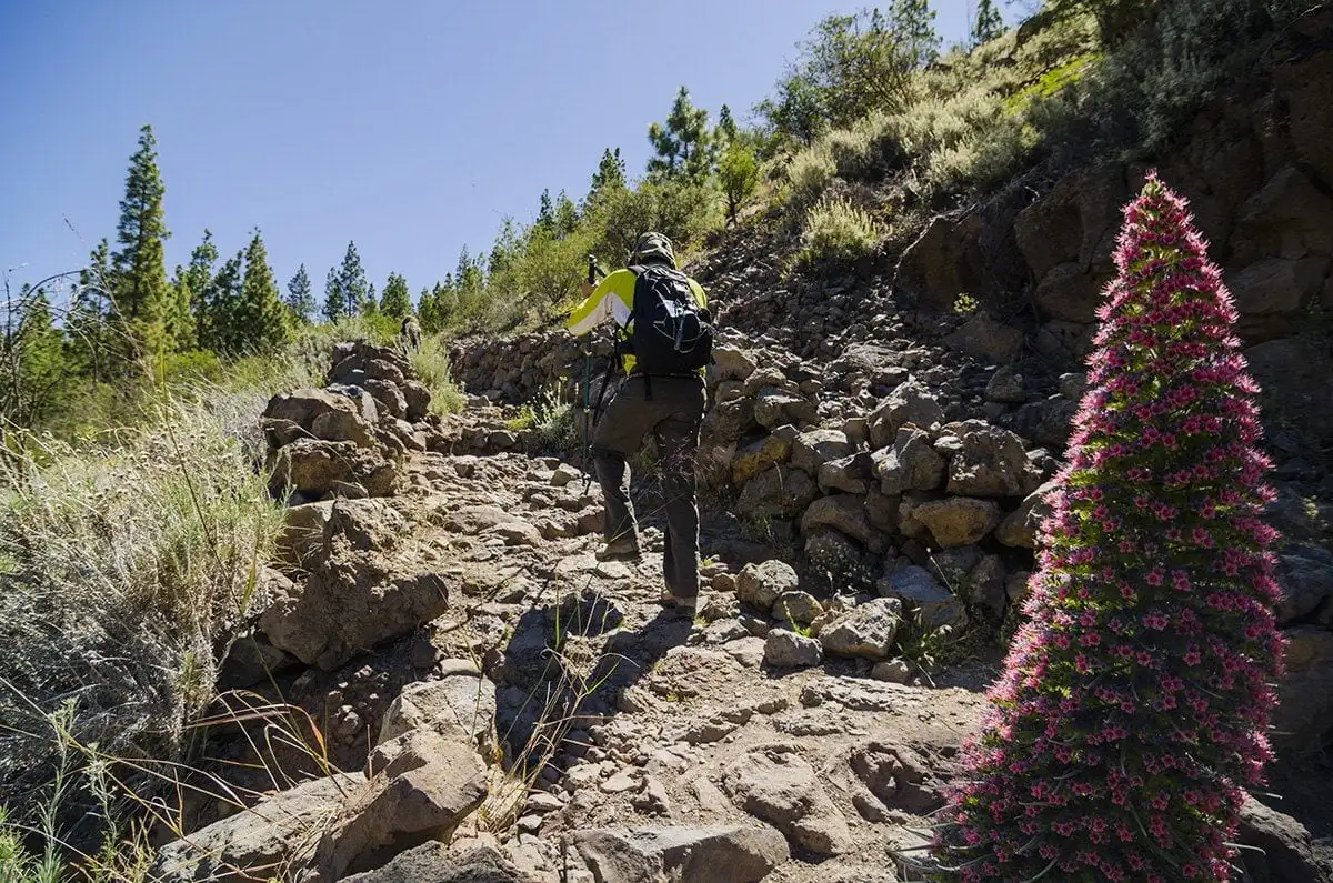 Tenerife Walking Festival hiken