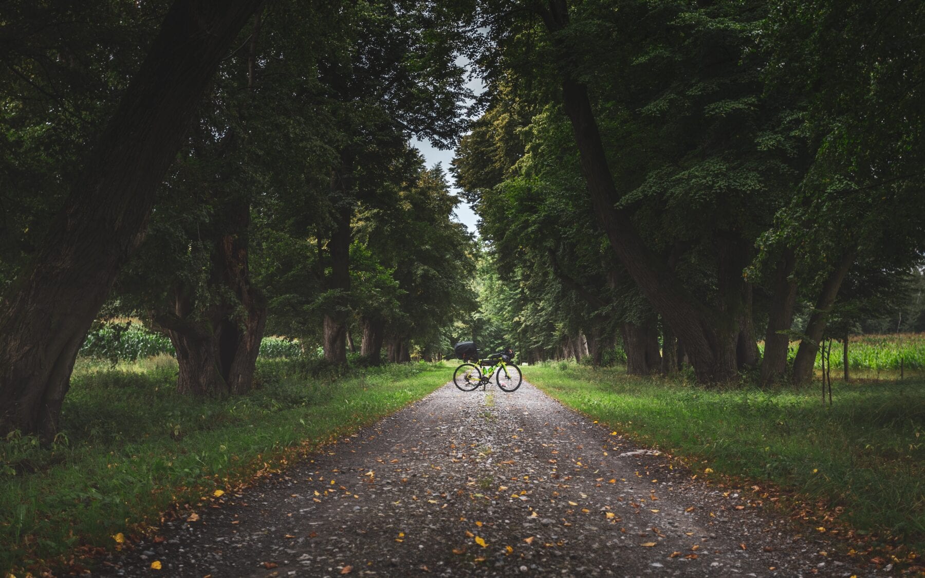 bikepacken e-bike