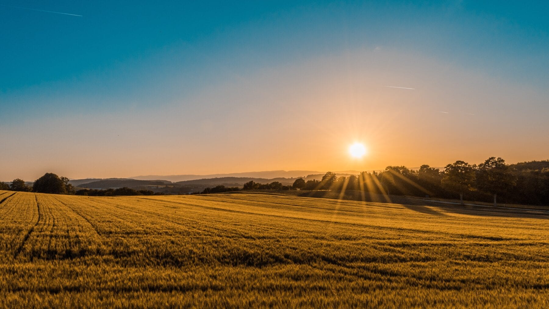 Immuunsysteem verbeteren met vitamine D