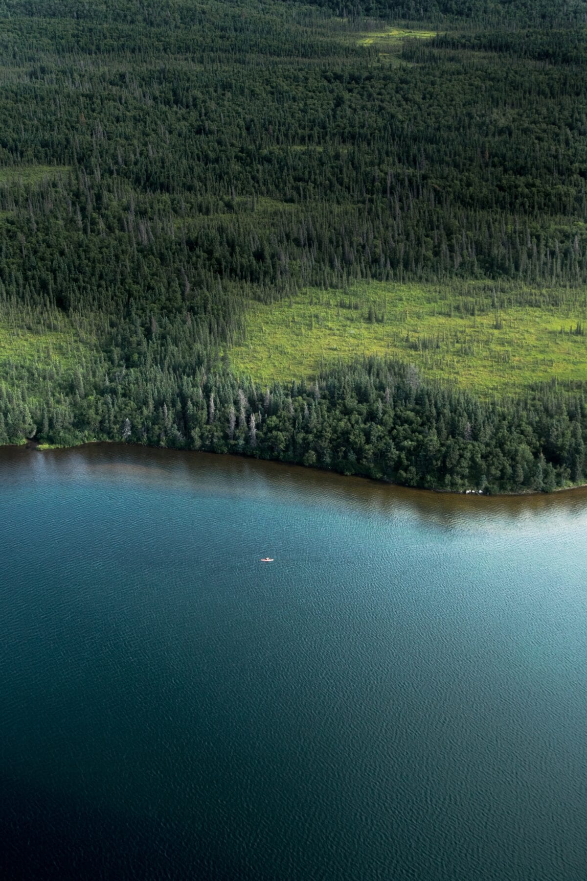 Nationale parken Amerika Katmai 