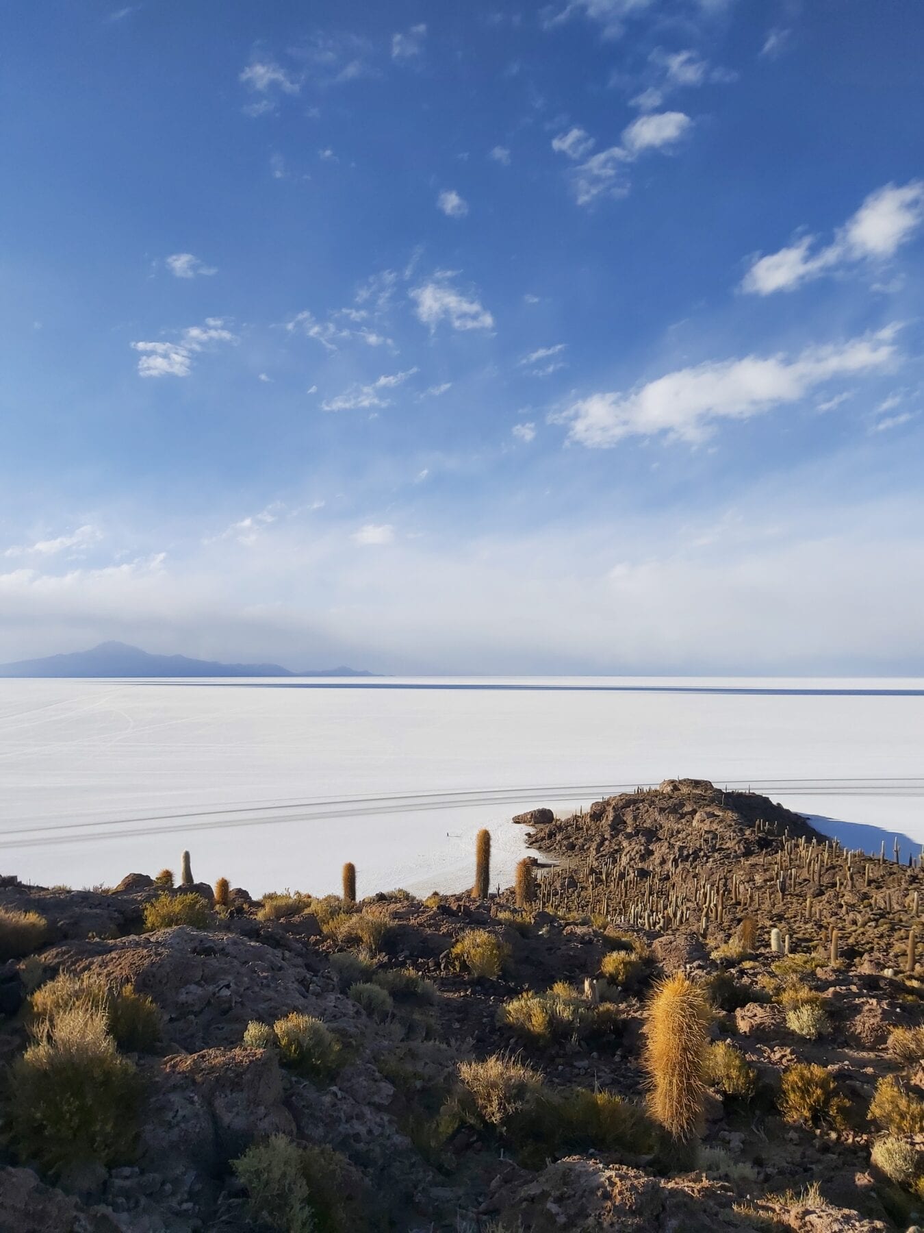 Eiland in de zoutvlakte in Bolivia