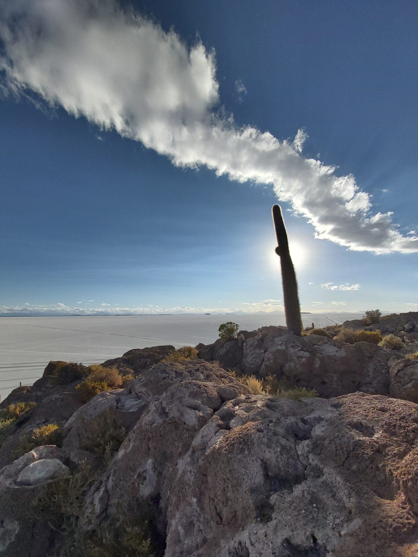 Eiland zoutvlakte Bolivia