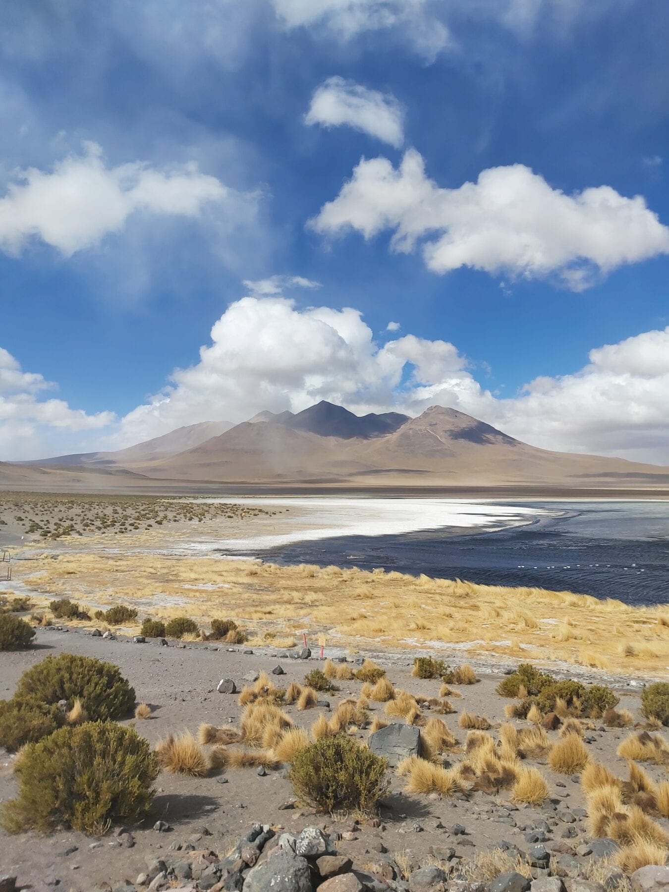 Landschap van Bolivia