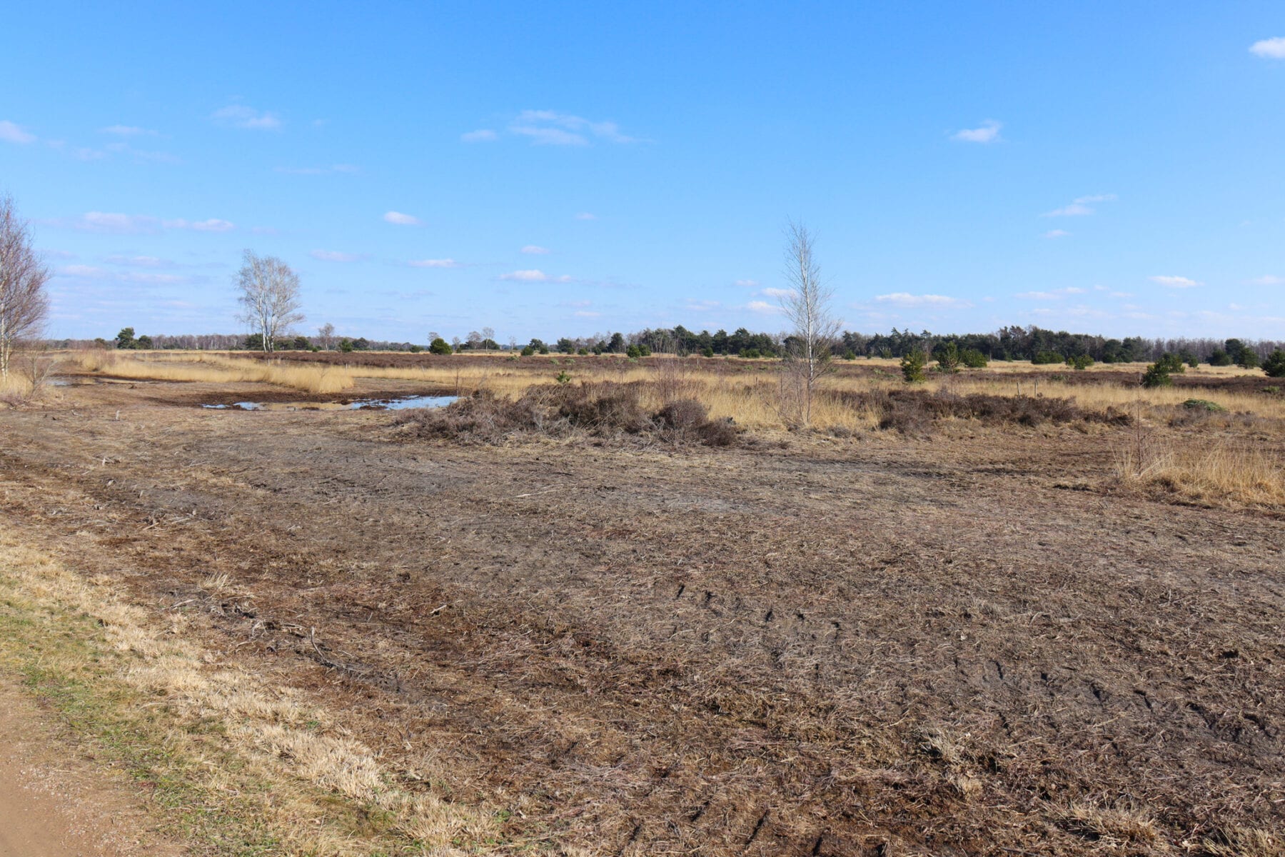 Natuurpoorten Strabrechtse Heide