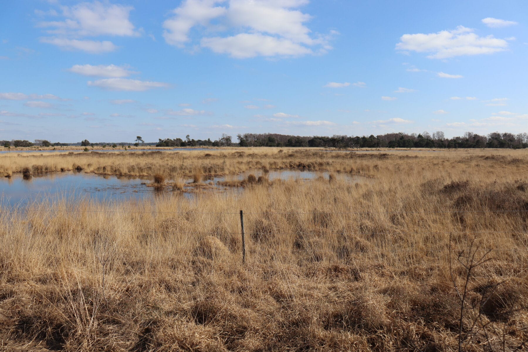 Strabrechtse heide