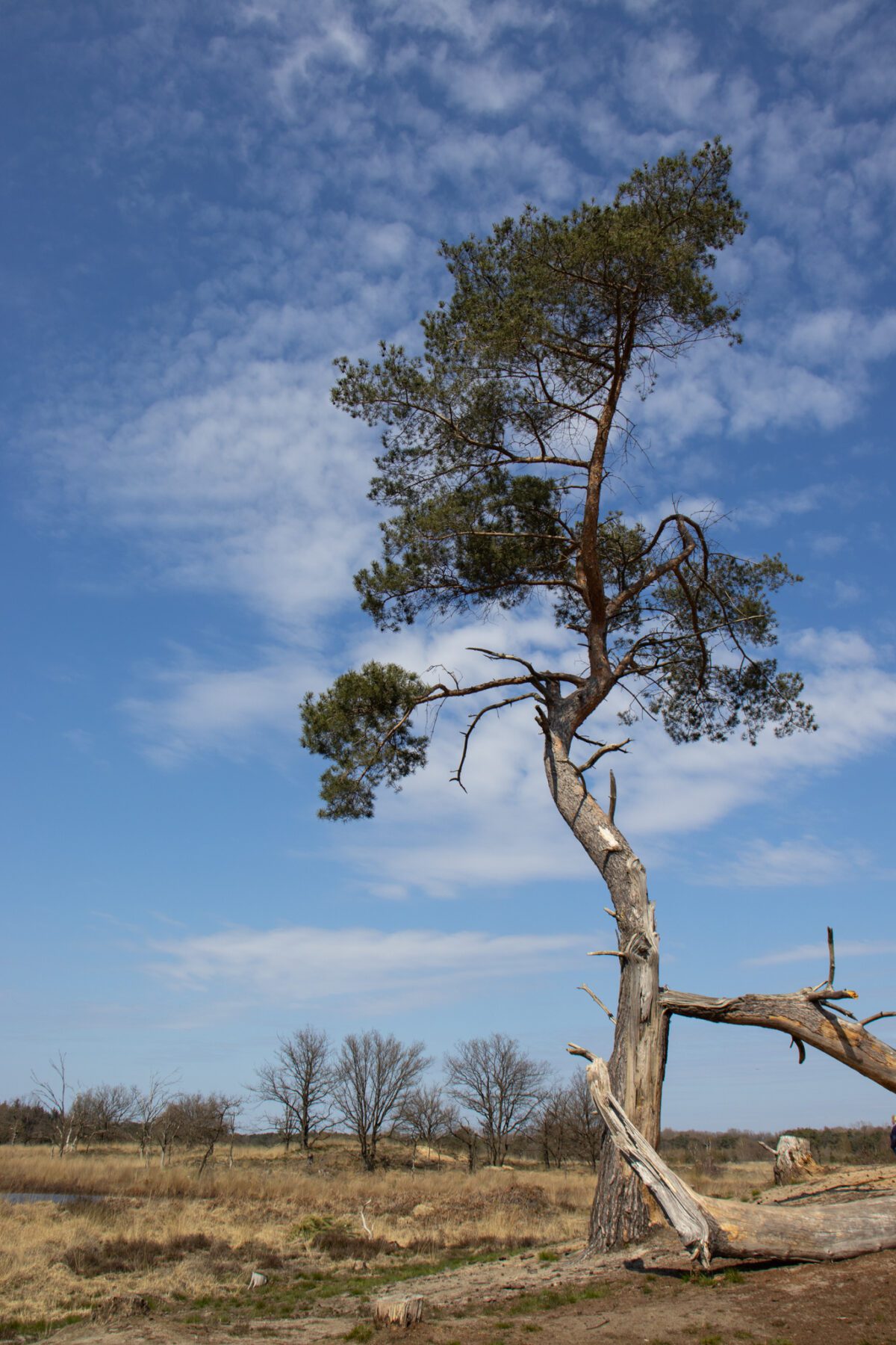 Natuurpoorten De Malpie