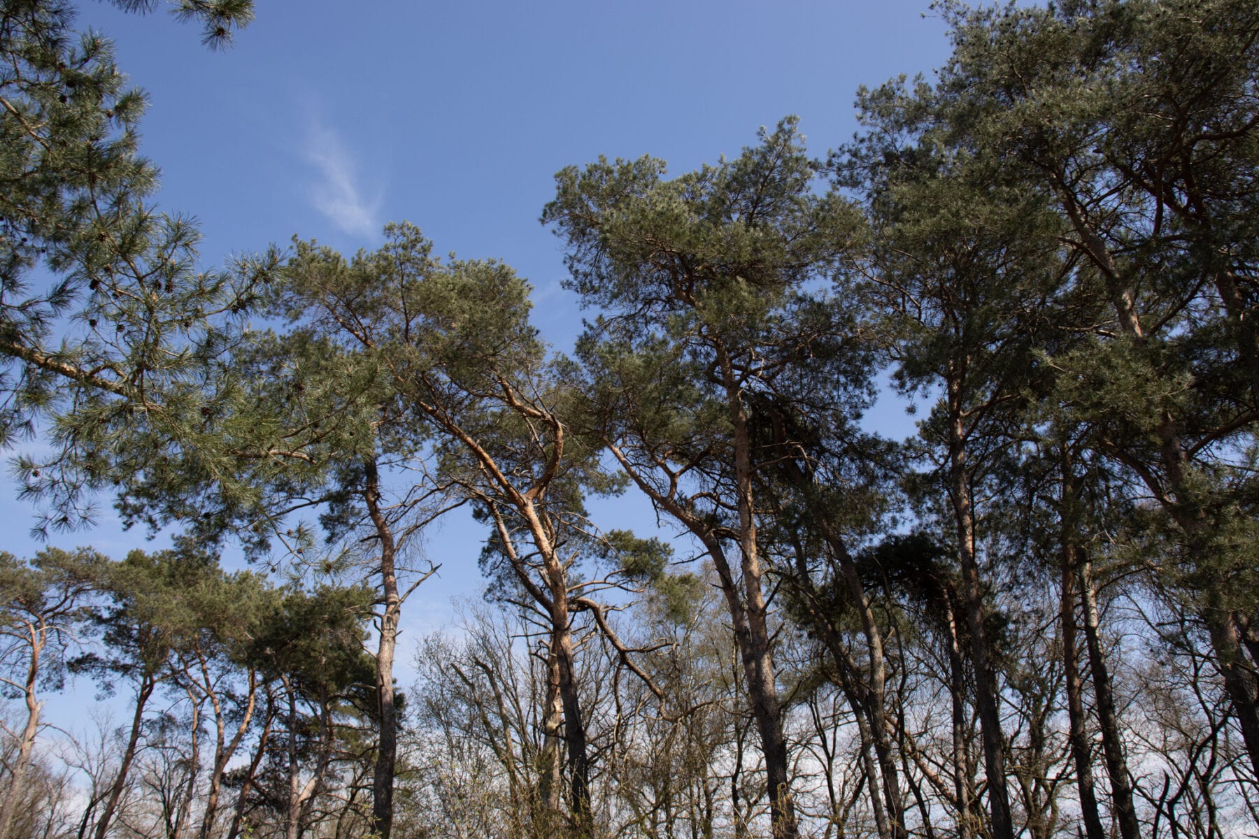 Natuurpoorten De Malpie