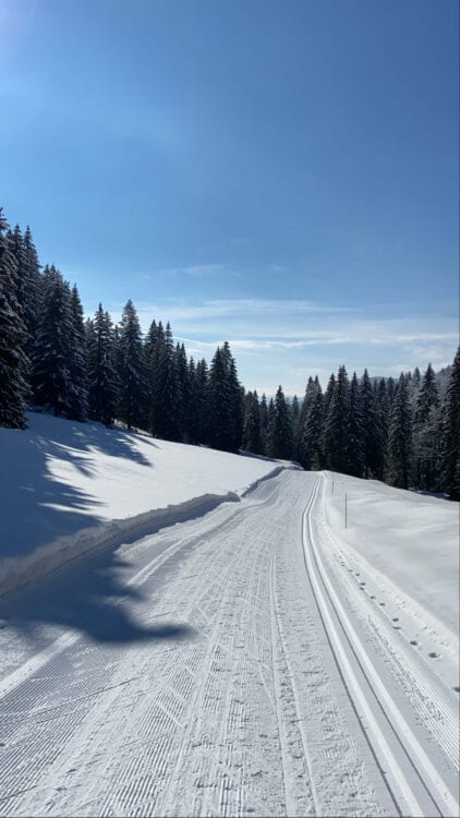 Langlaufen in de Jura