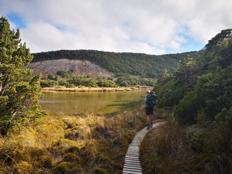 Mount Ruapehu vlinderpad