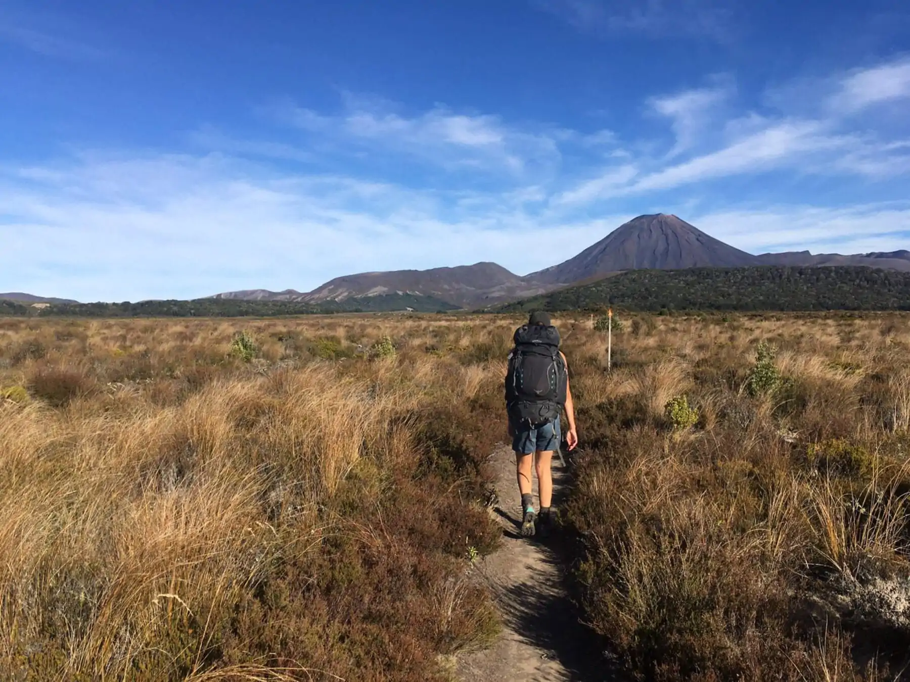 Mount Ruapehu wandelen