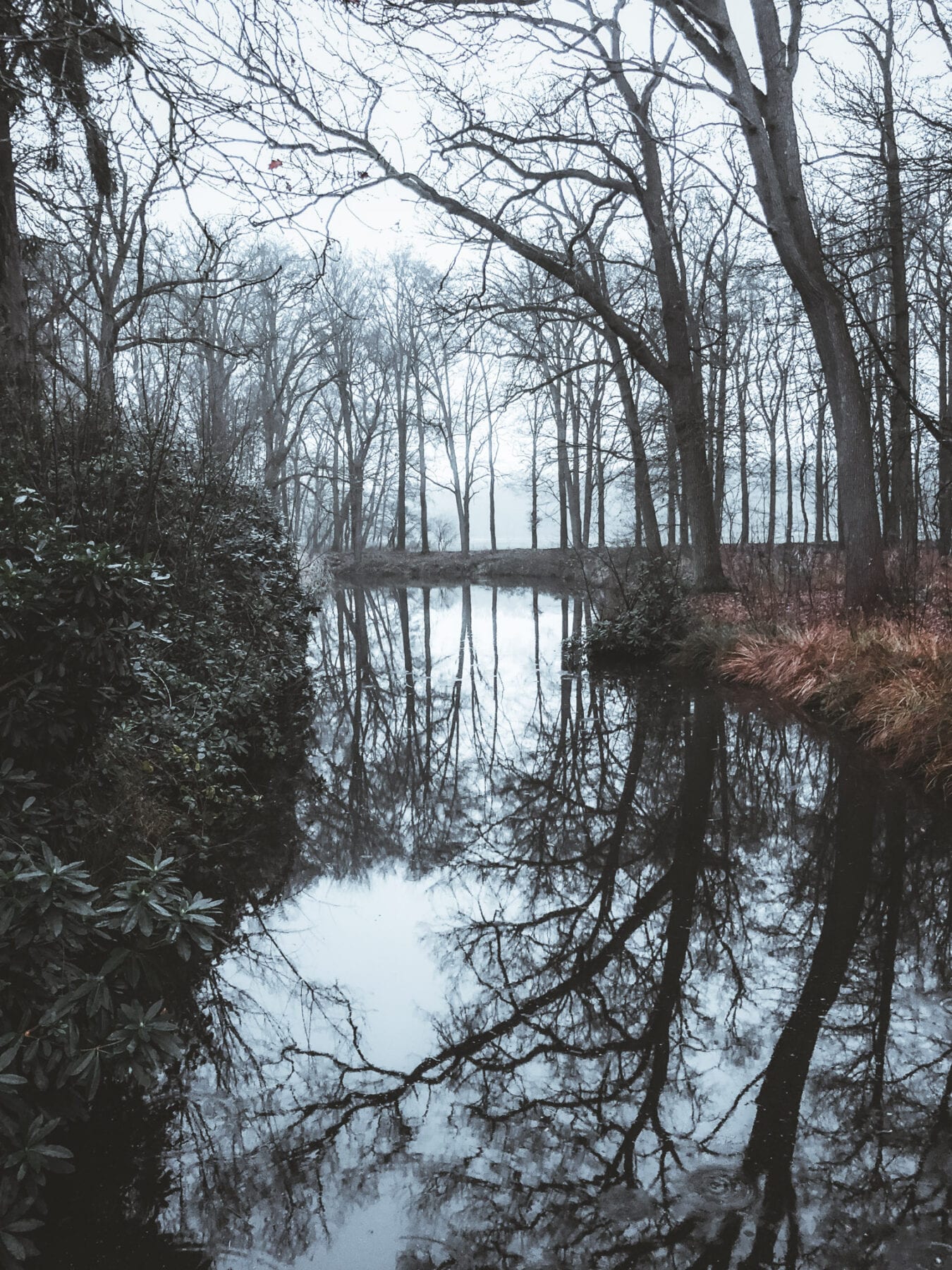 Wandelen rondom 's-Hertogenbosch Wamberg Berlicum