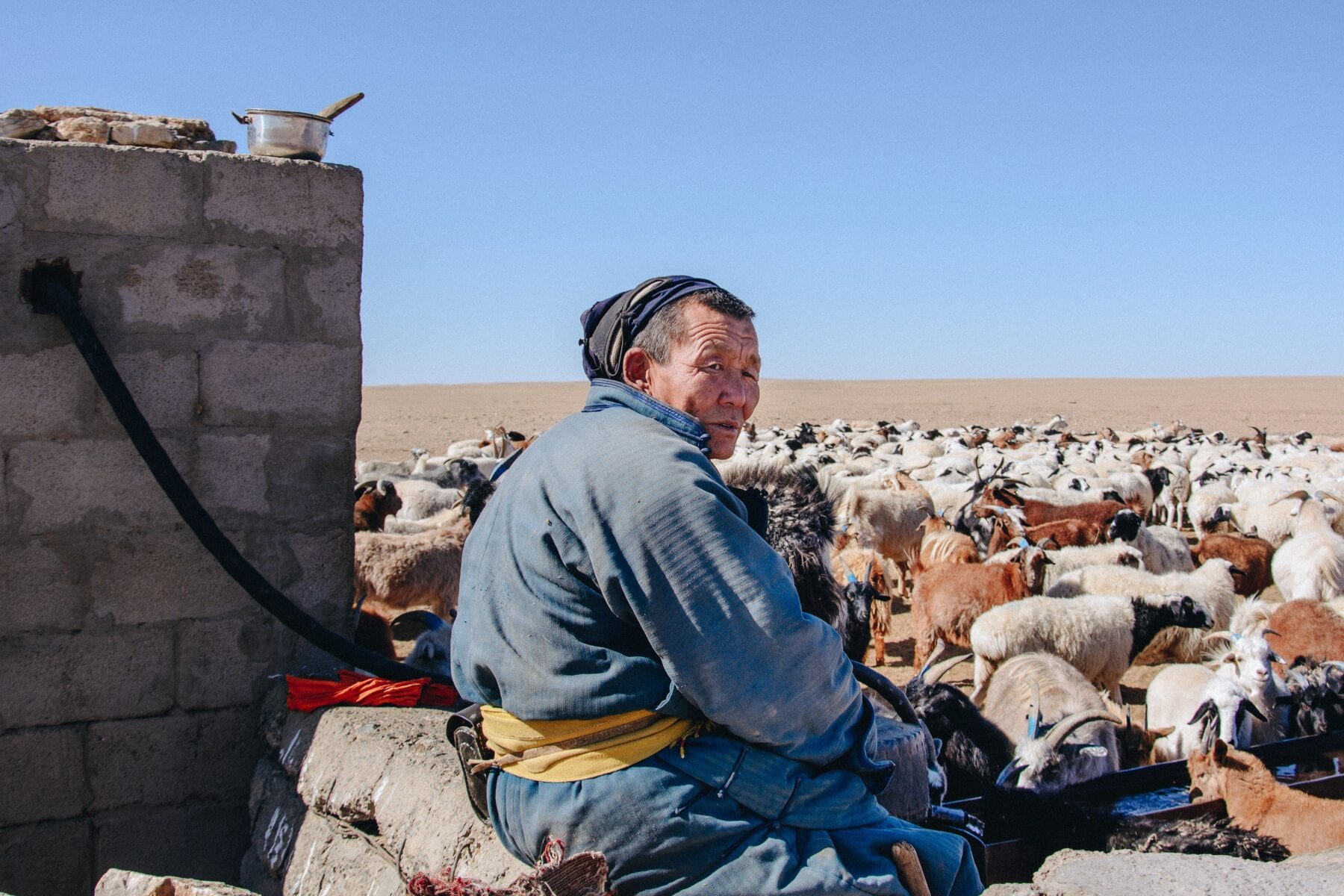 Veehouder Mongolië 