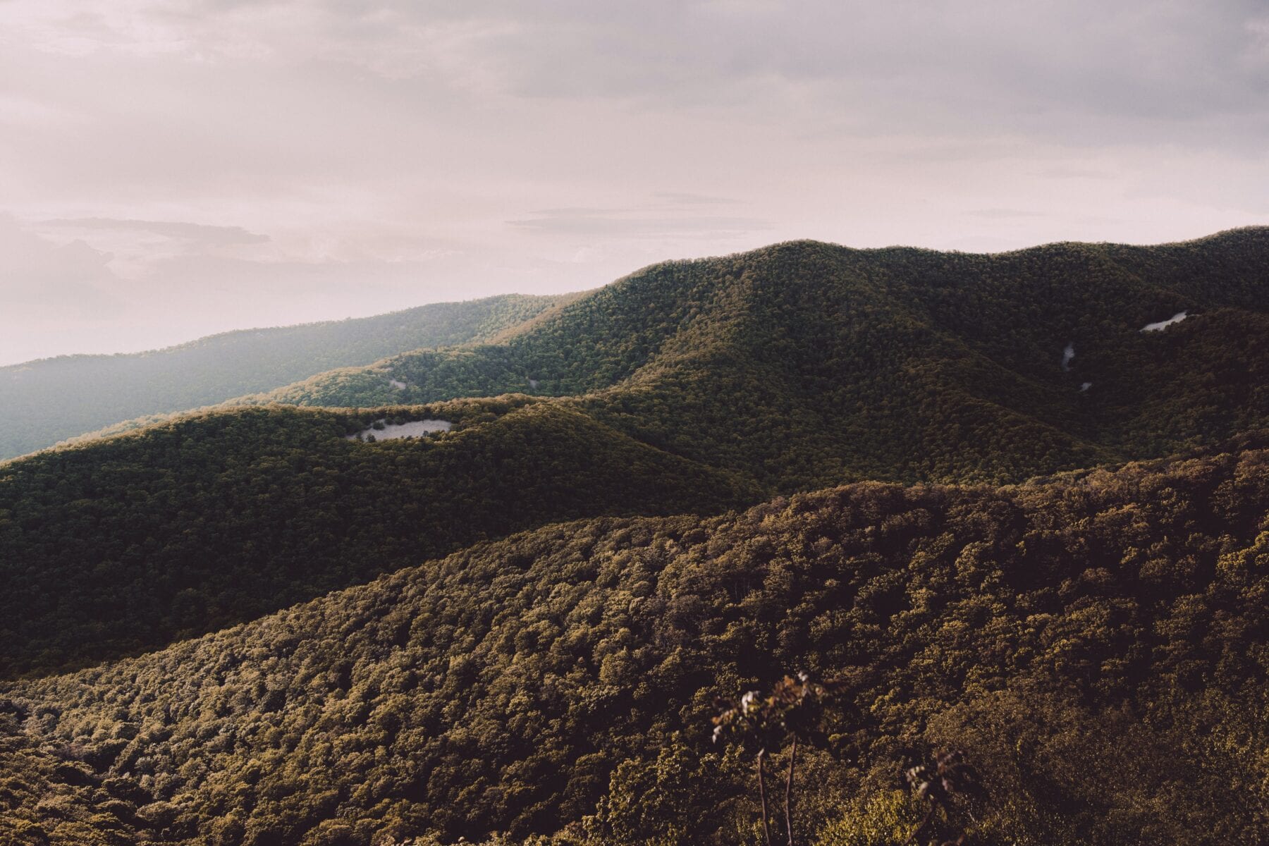 Roadtrip Amerika Shenandoah National Park