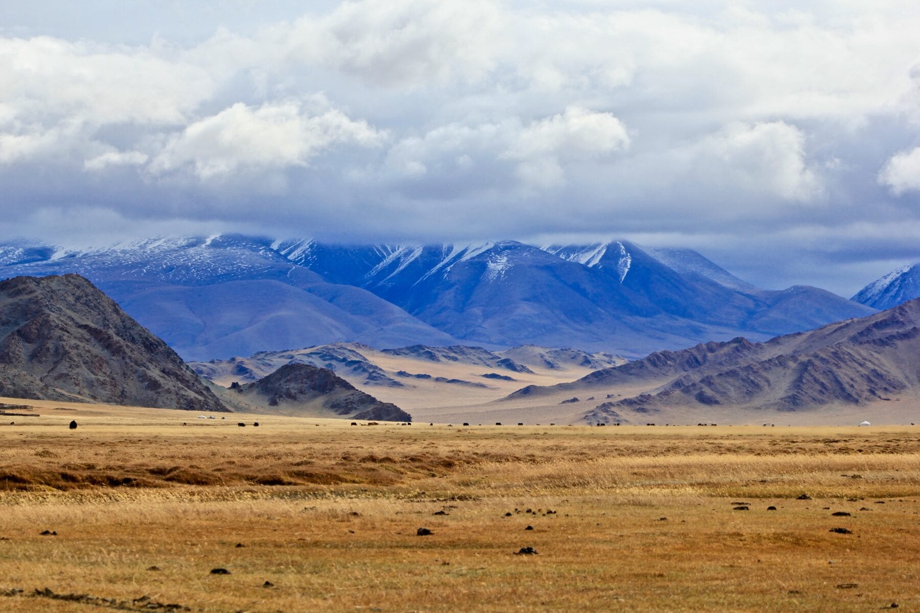 Landschap Mongolië
