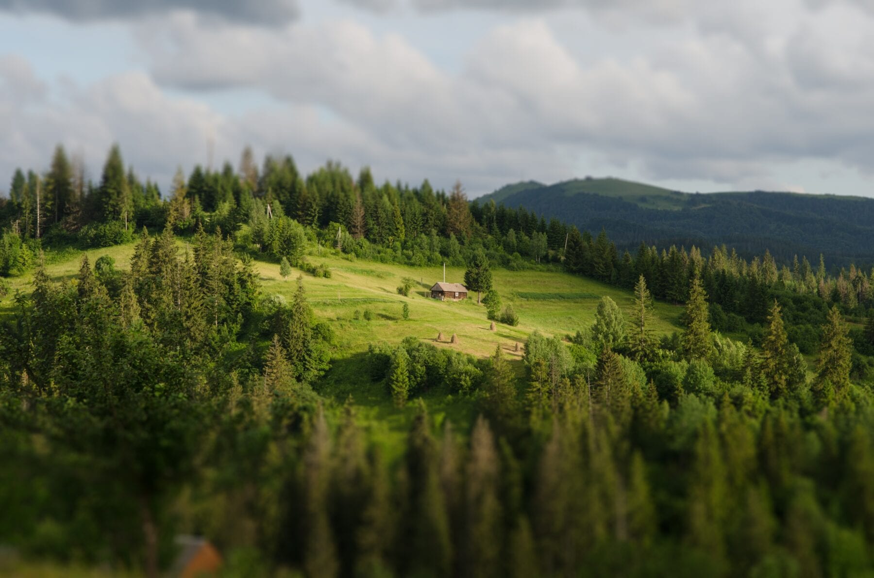 Natuur Oekraïne