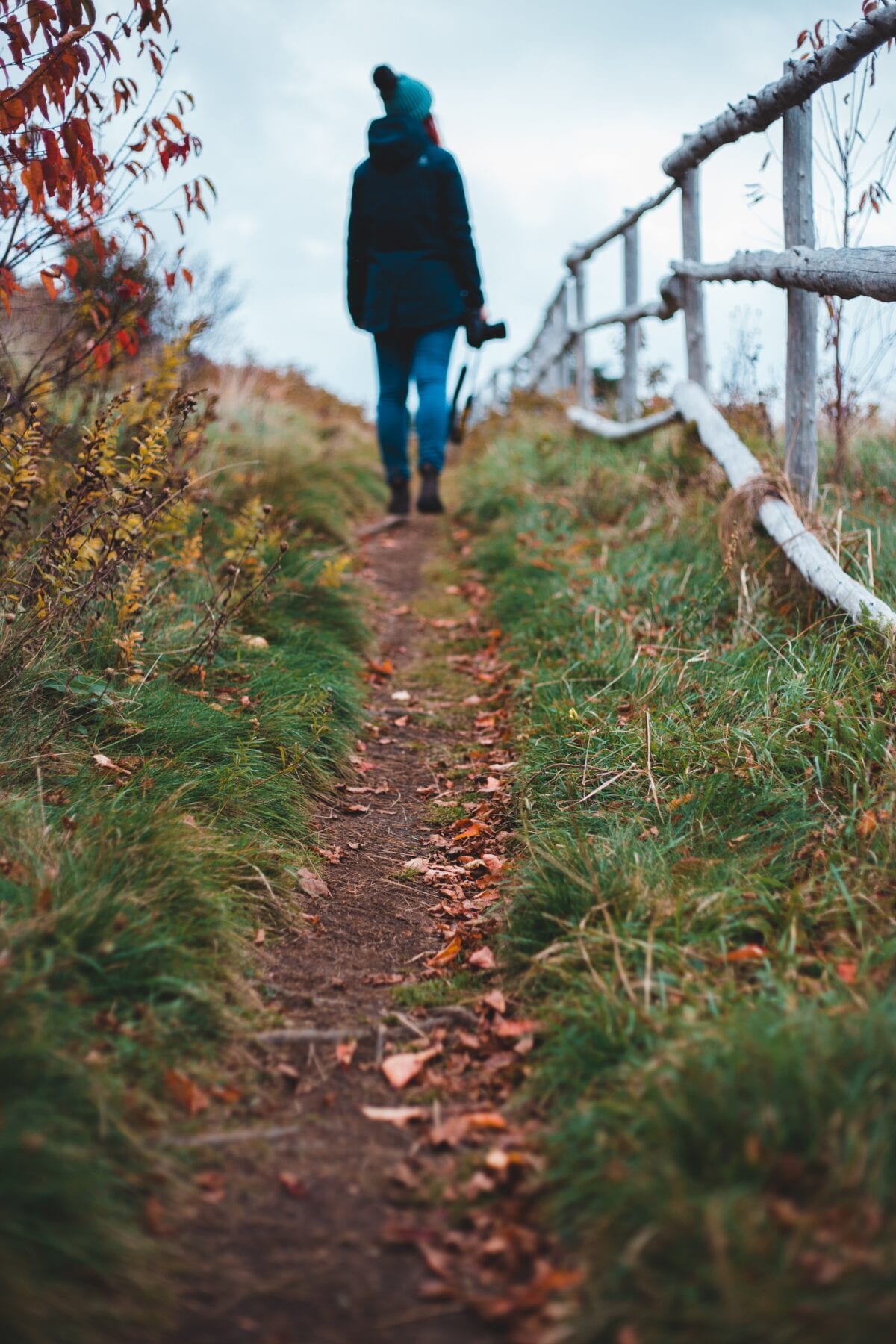 Rustige wandelgebieden  