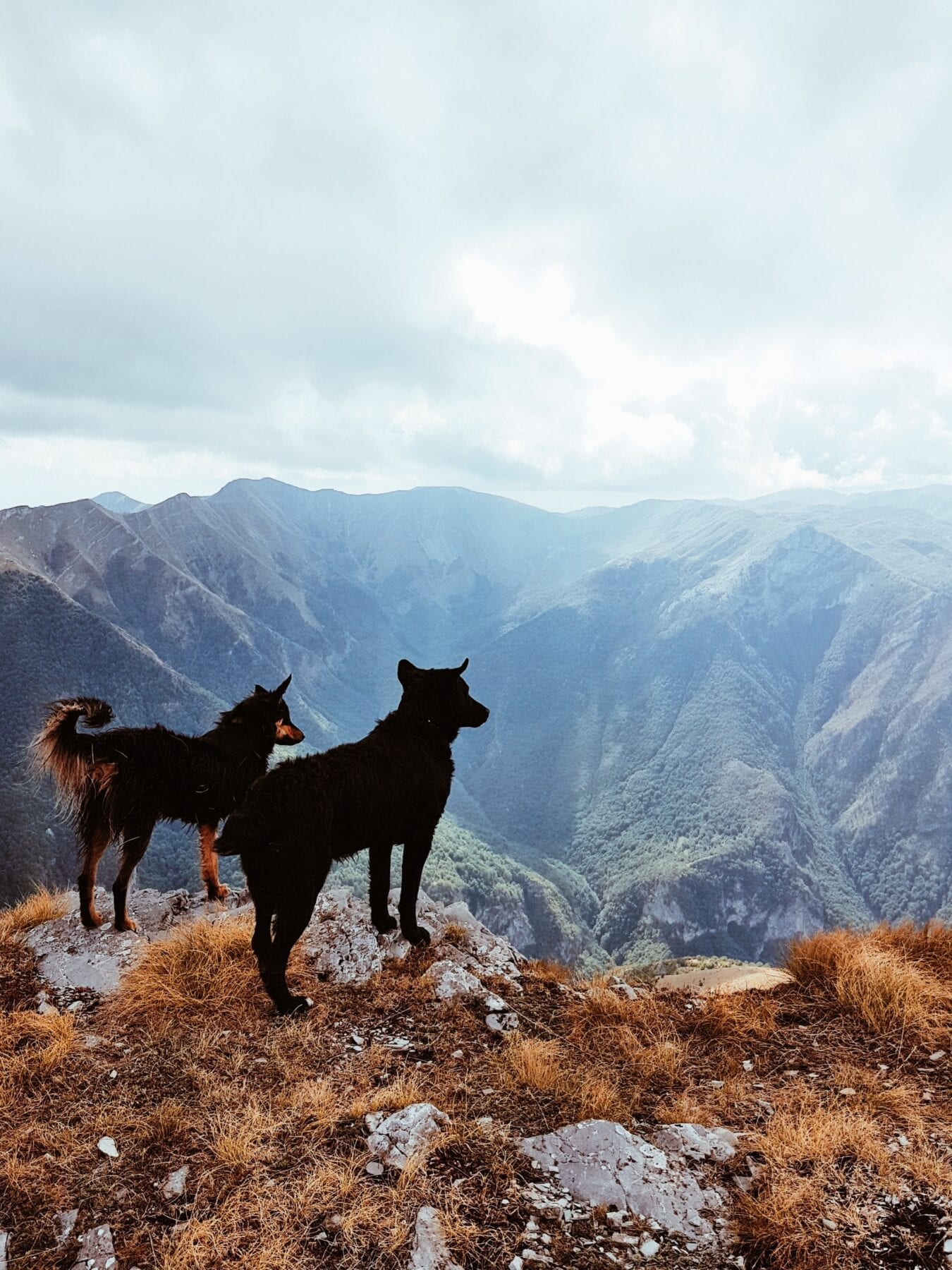 Mooi uitzicht over de bergen in Bosnië en Herzegovina