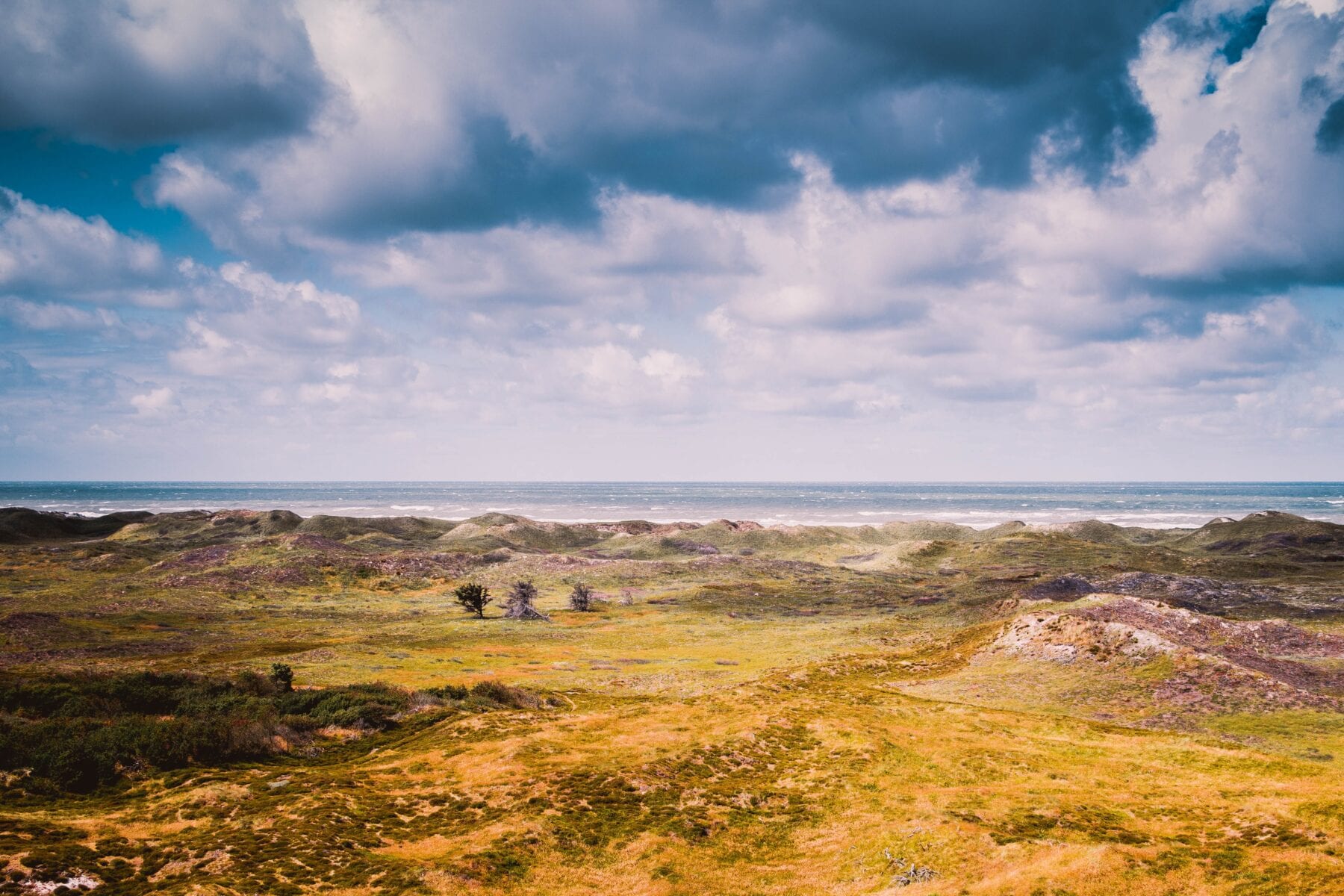 Landschap van Denemarken