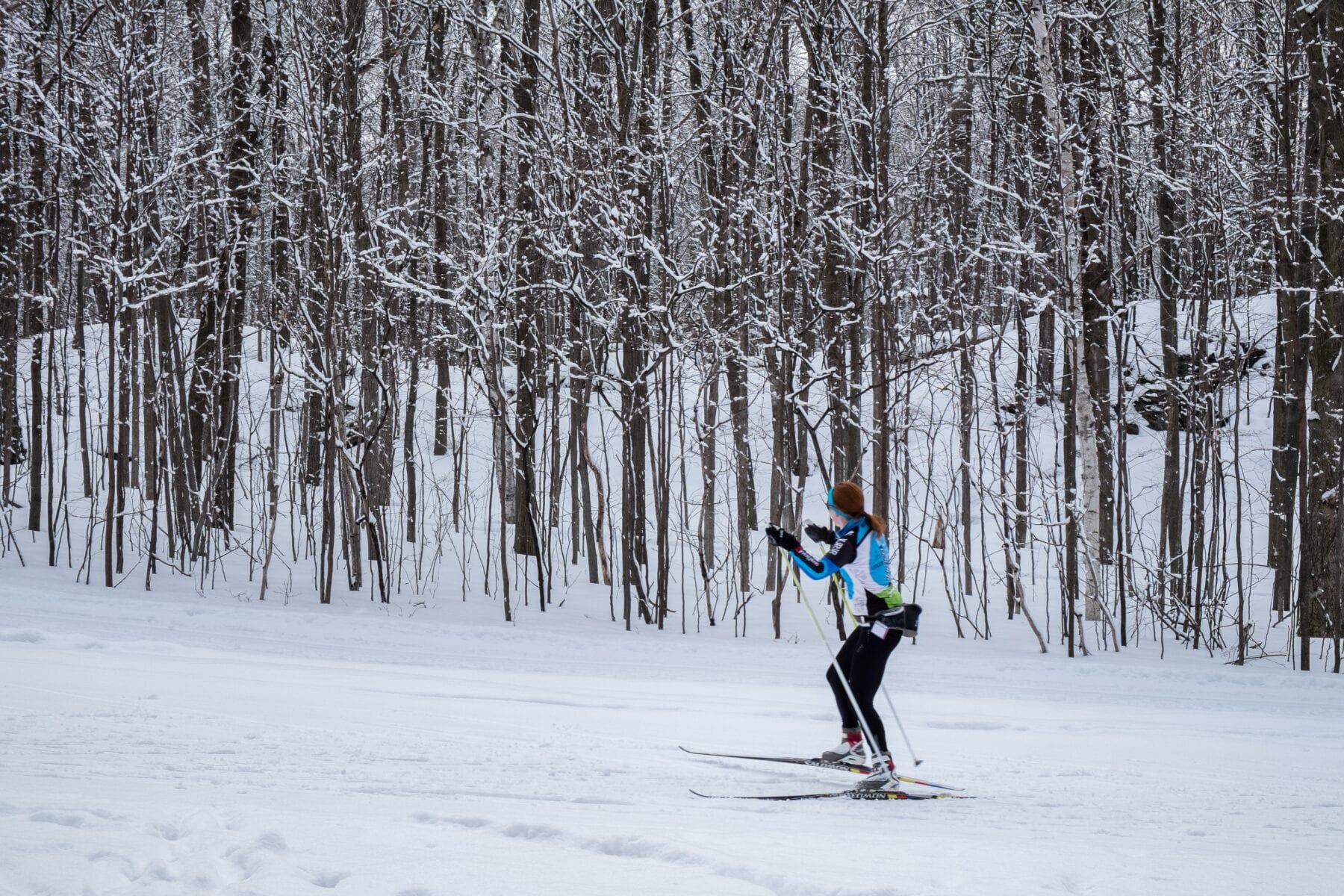 Last skier standing