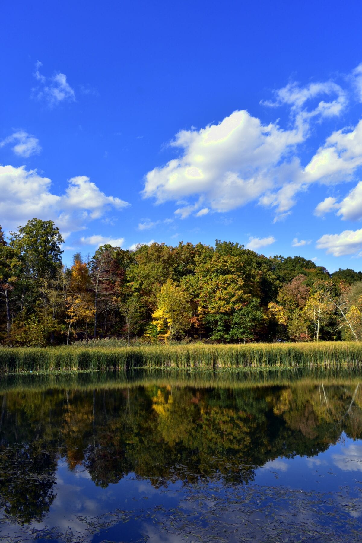 Roadtrip Amerika Cuyahoga Valley