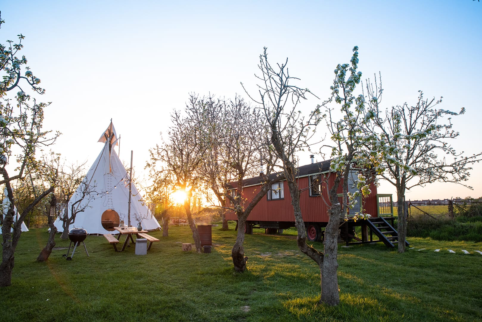 Campspace tipi of pipowagen overnachten