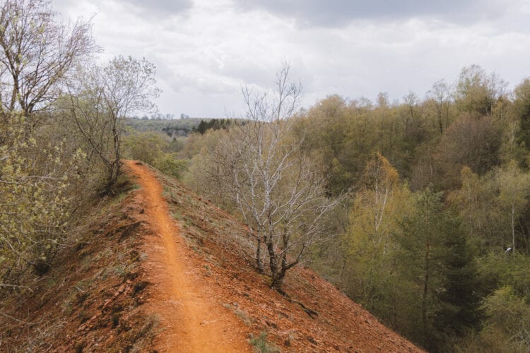 Ellergronn trail