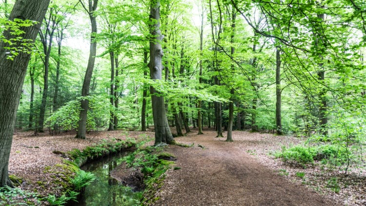 Landgoederen Brabant Landgoed De Baest