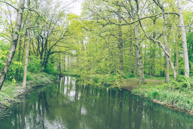 Landgoederen Brabant Landgoed Kasteel Heeswijk