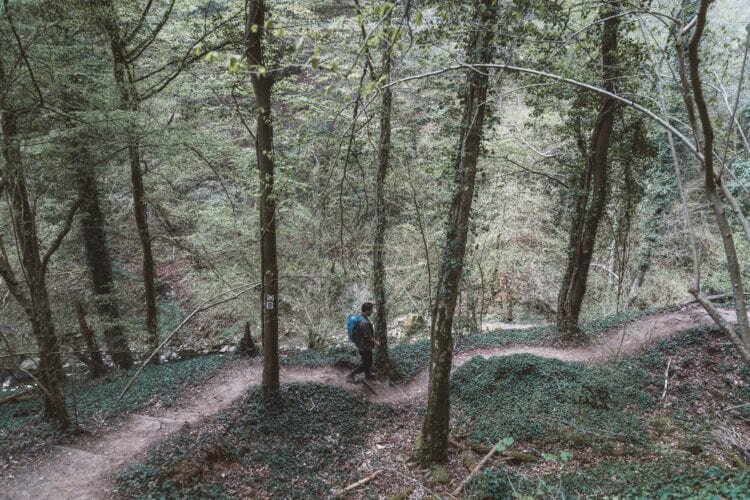 Hike langs de moezel en wijngaarden